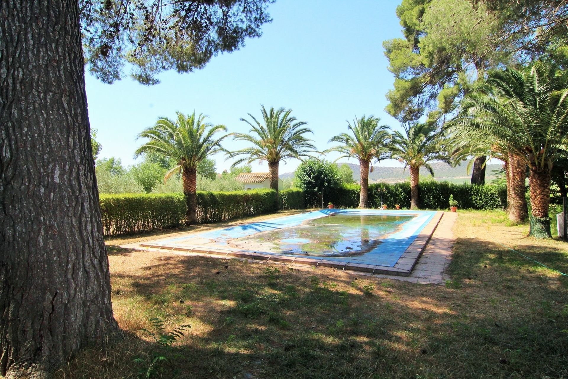 House in Yecla, Región de Murcia 11367922