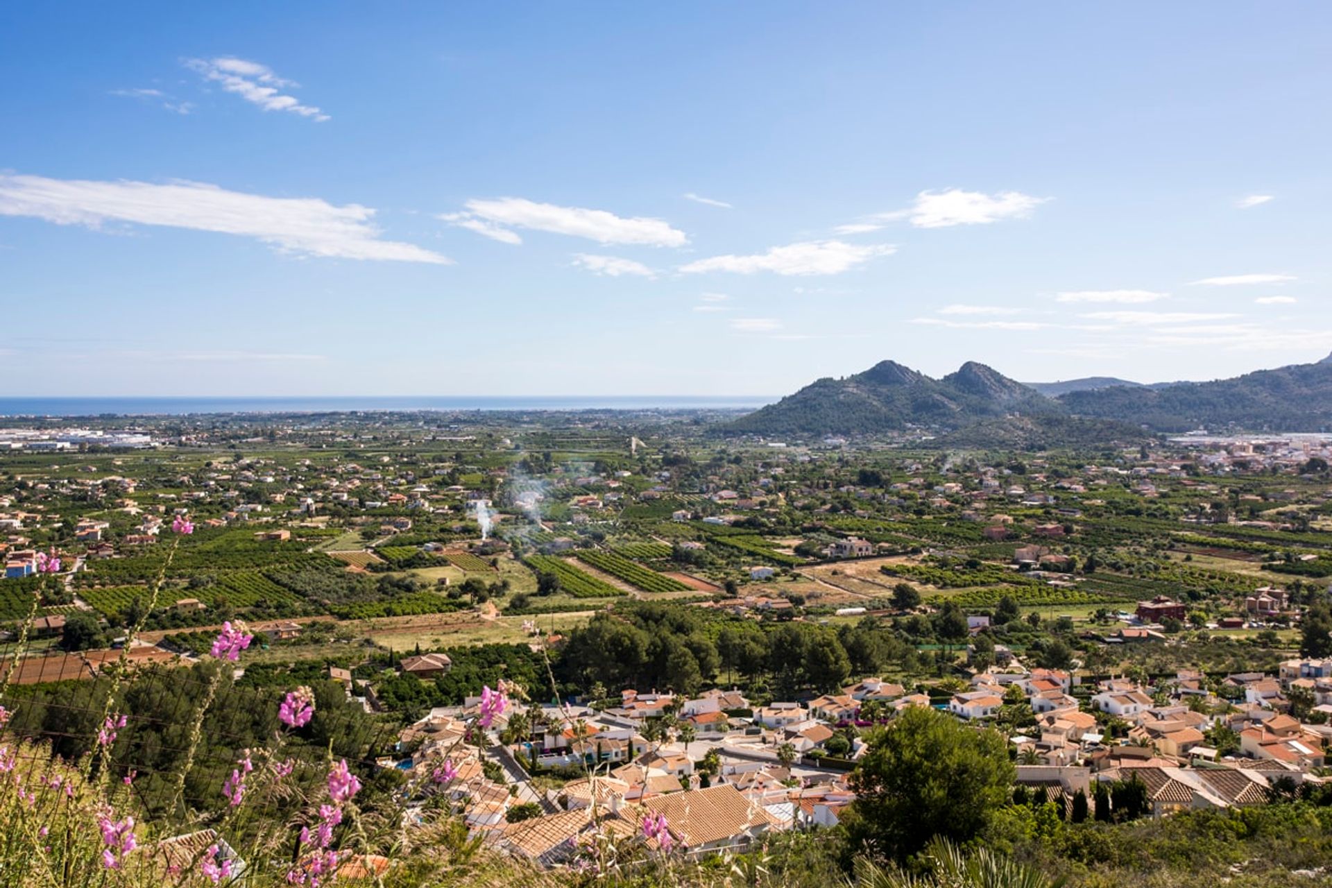 House in Pedreguer, Comunidad Valenciana 11368113