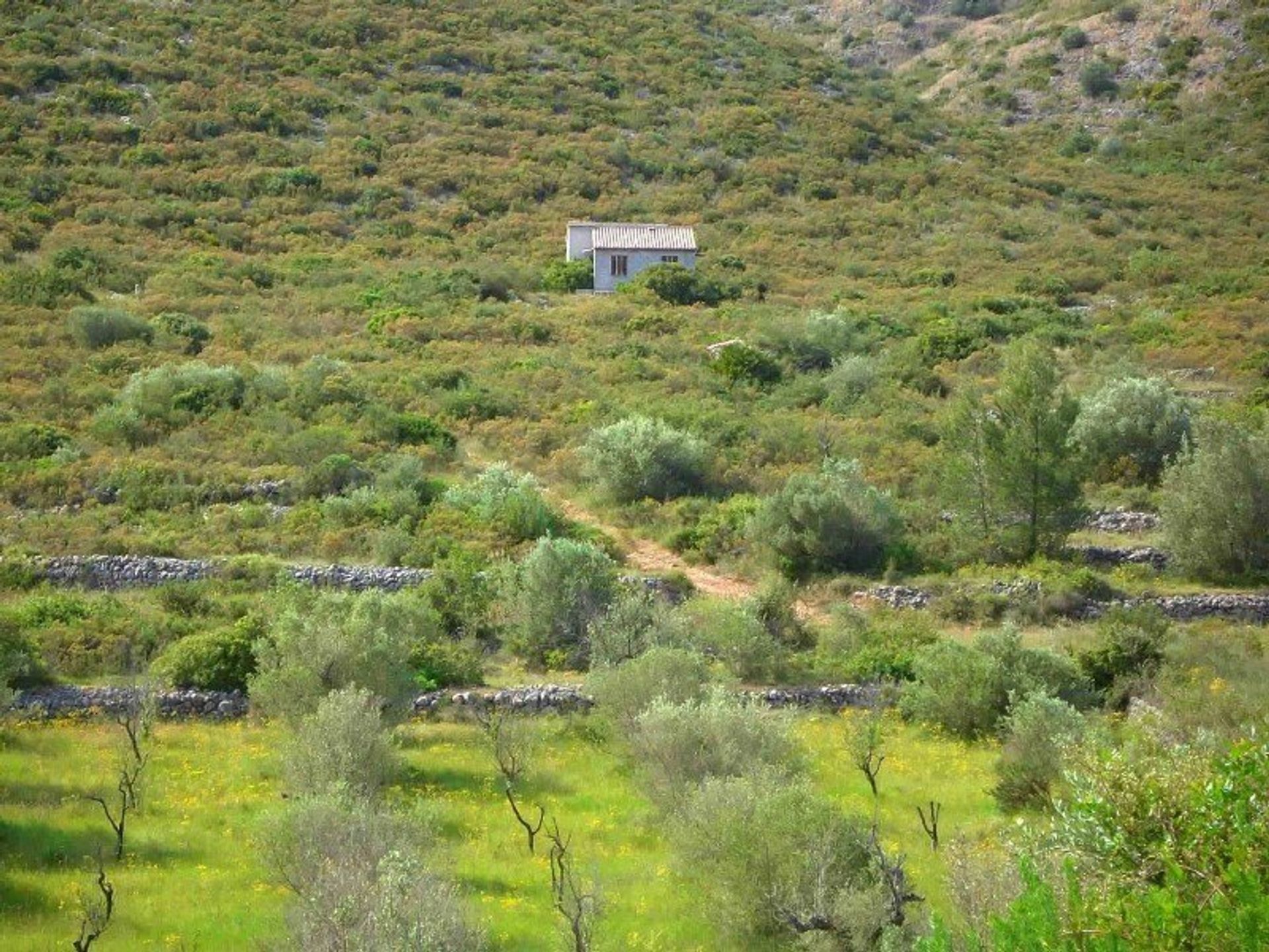 Land in Alcalalí, Comunidad Valenciana 11368726