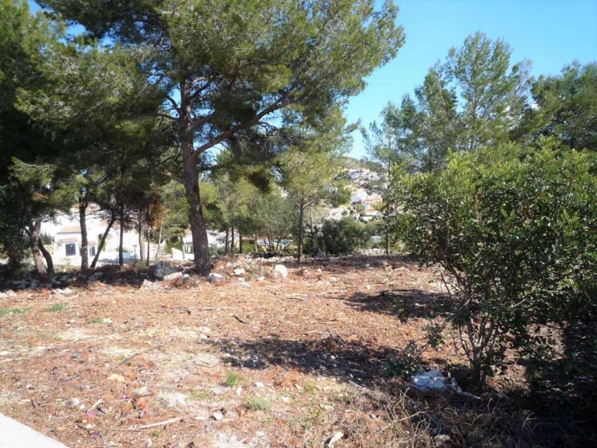 Land in Pedreguer, Comunidad Valenciana 11368759