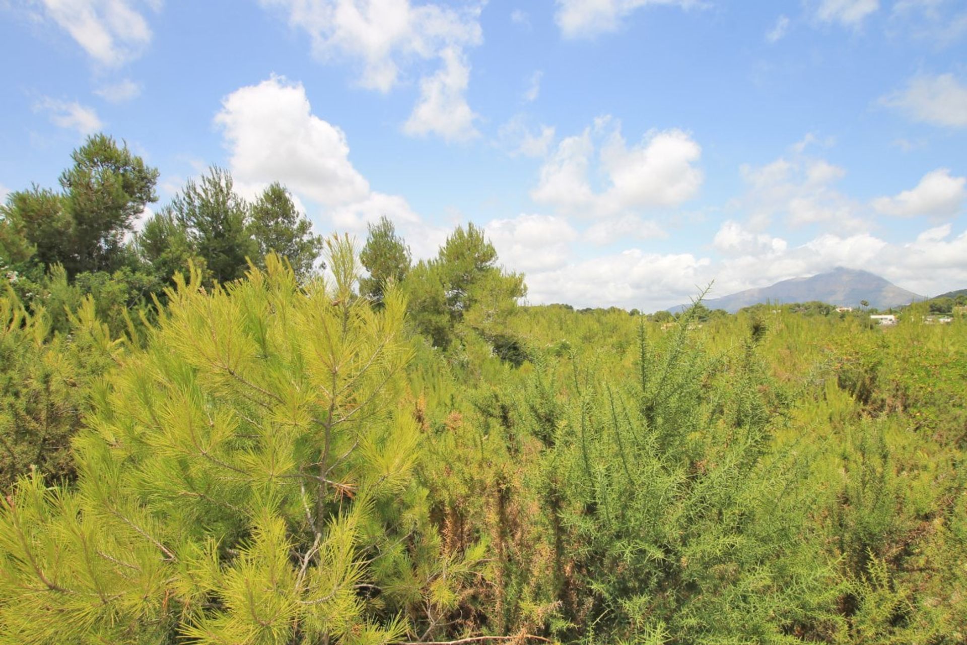 Terra no Jávea, Comunidad Valenciana 11368804