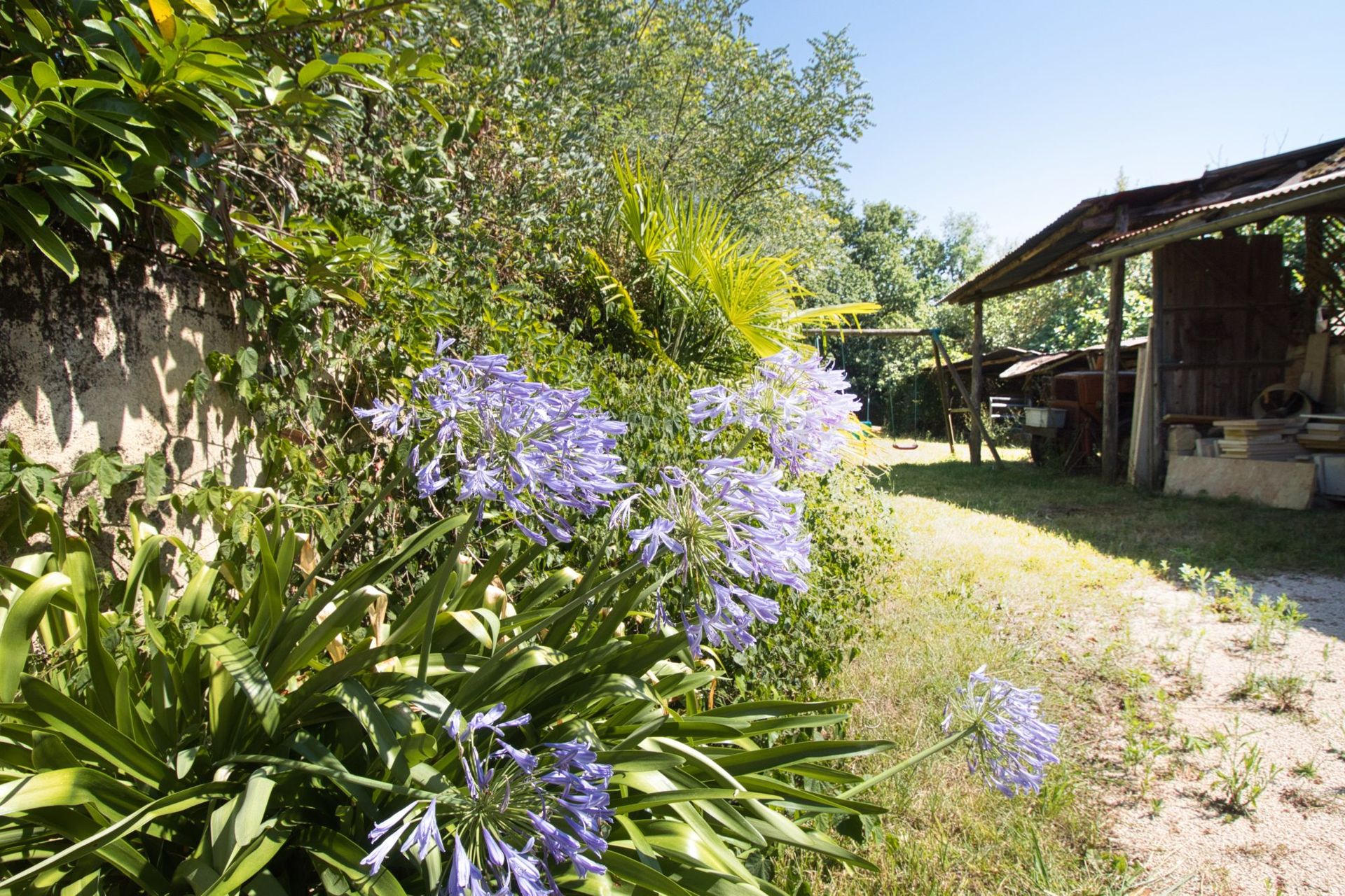 Hus i Marciac, Occitanie 11370480