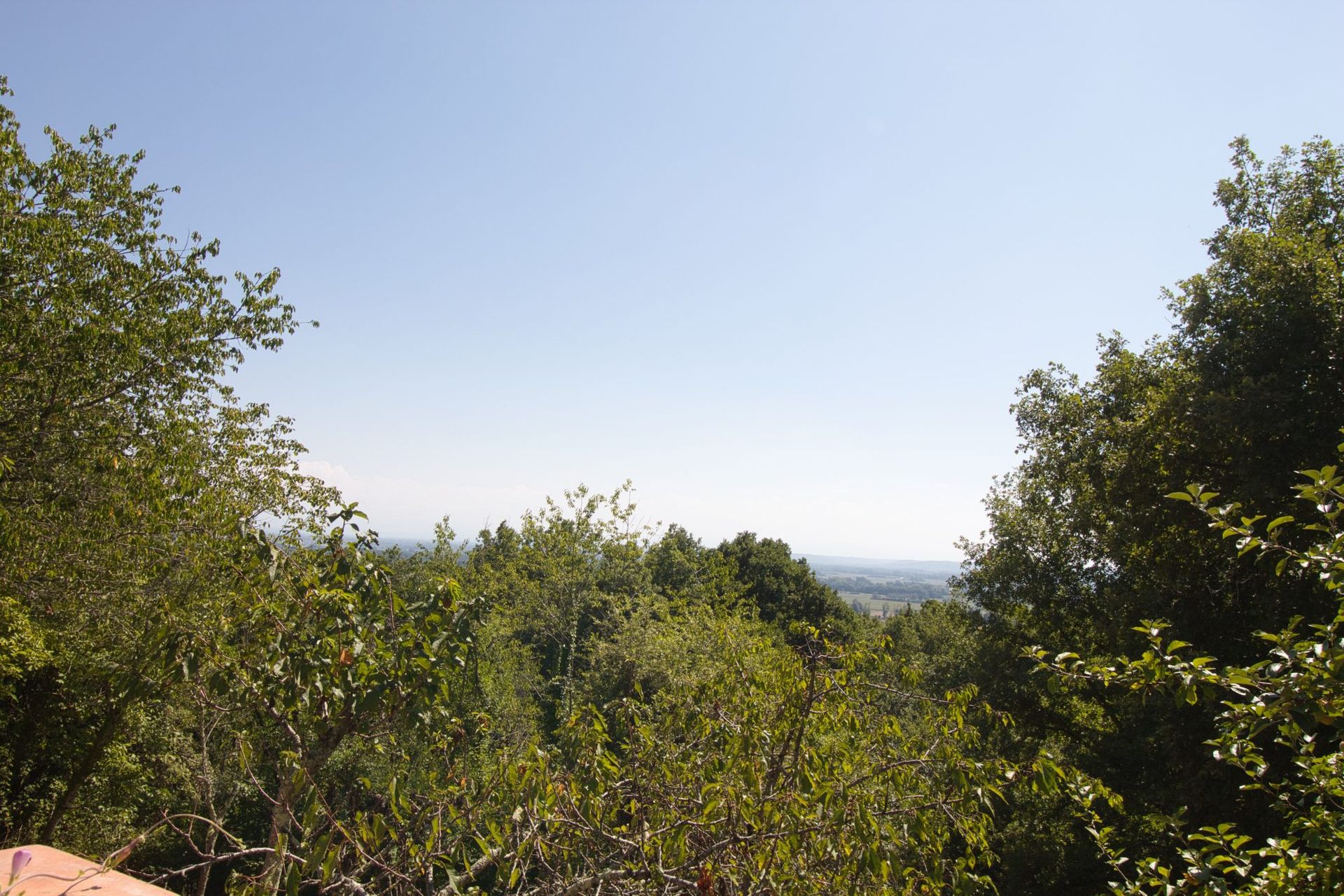 Hus i Marciac, Occitanie 11370480