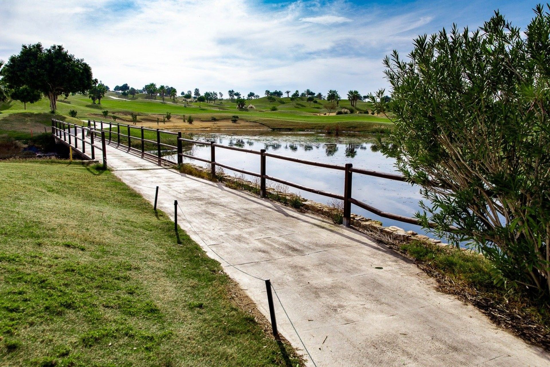 Condominium in Benejuzar, 447 Avenida del Golf 11370778