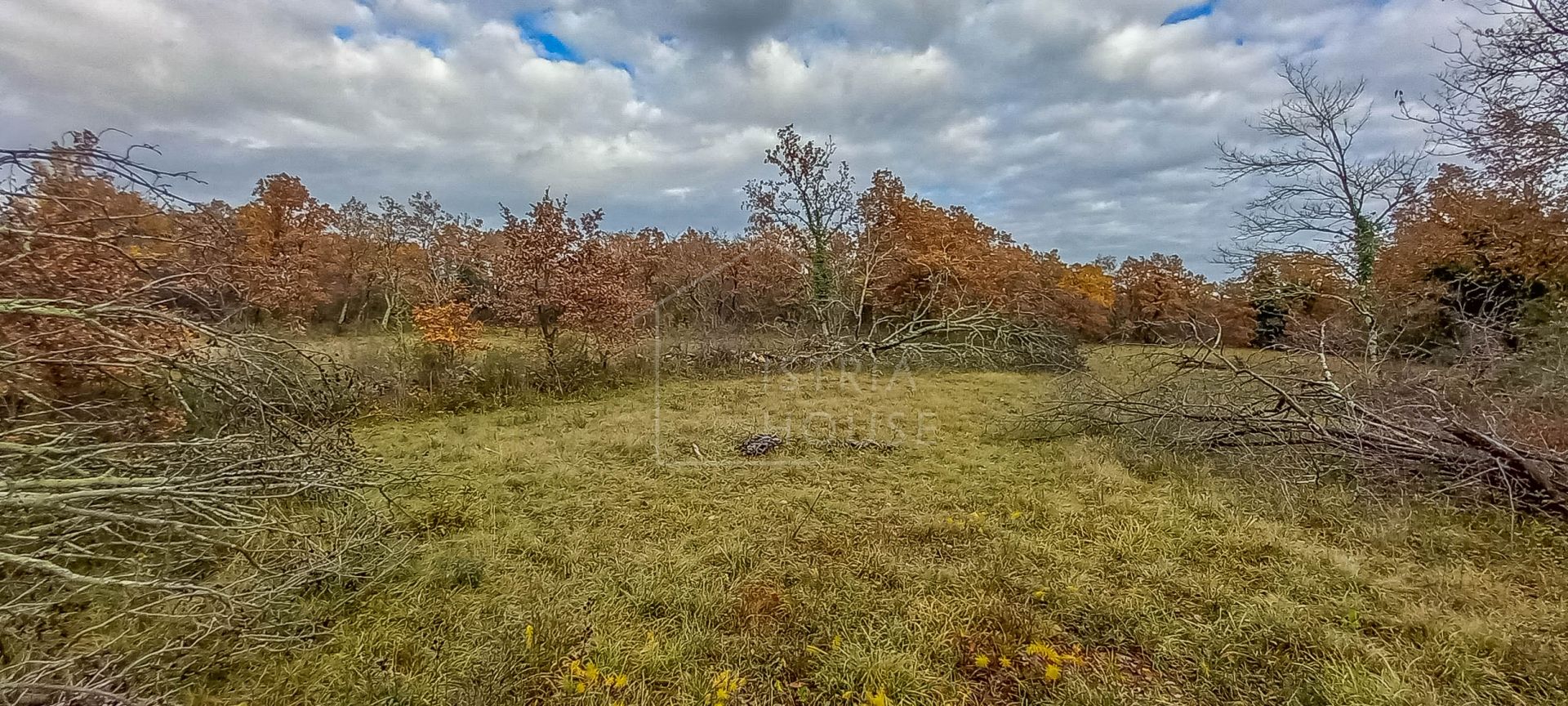 Land im Grožnjan, Istarska Zupanija 11370991