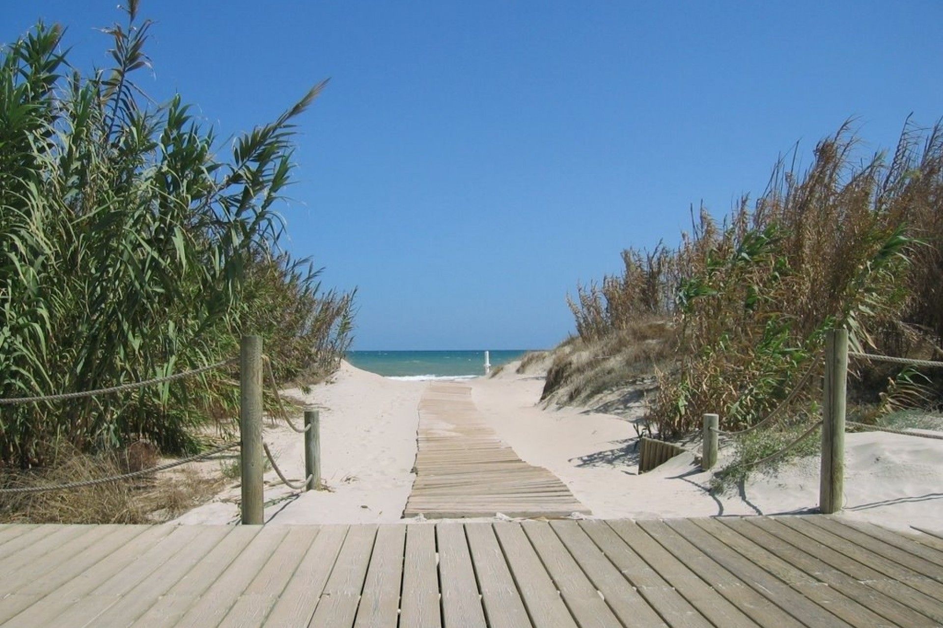 Condominio nel Torre de la Horadada, Valencian Community 11371600