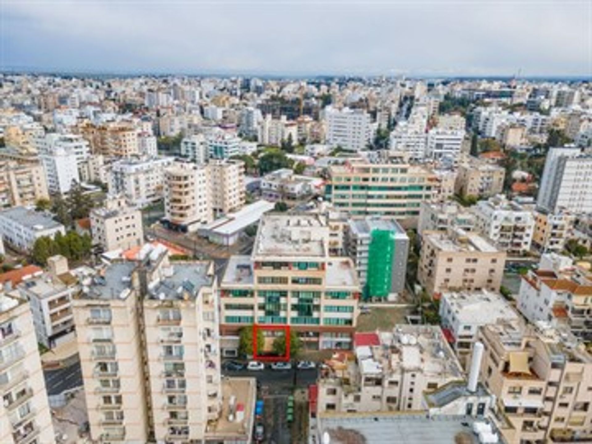 Détail dans Limassol, Lémésos 11373340