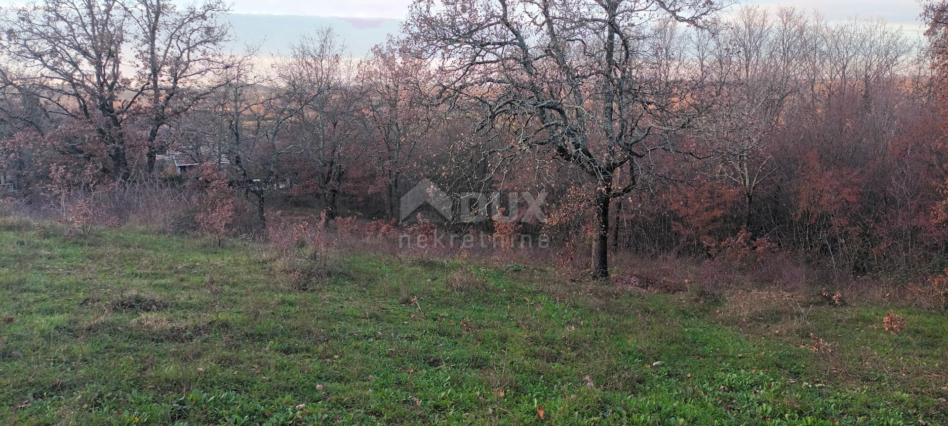 土地 在 Poreč, Istria County 11378684