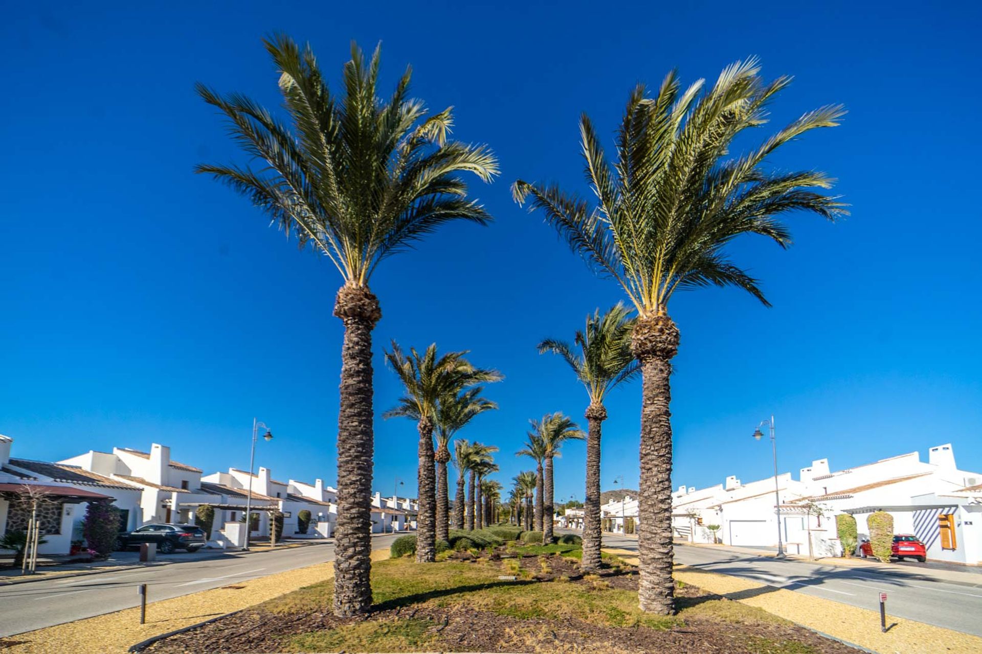 Borettslag i Murcia, Región de Murcia 11379217