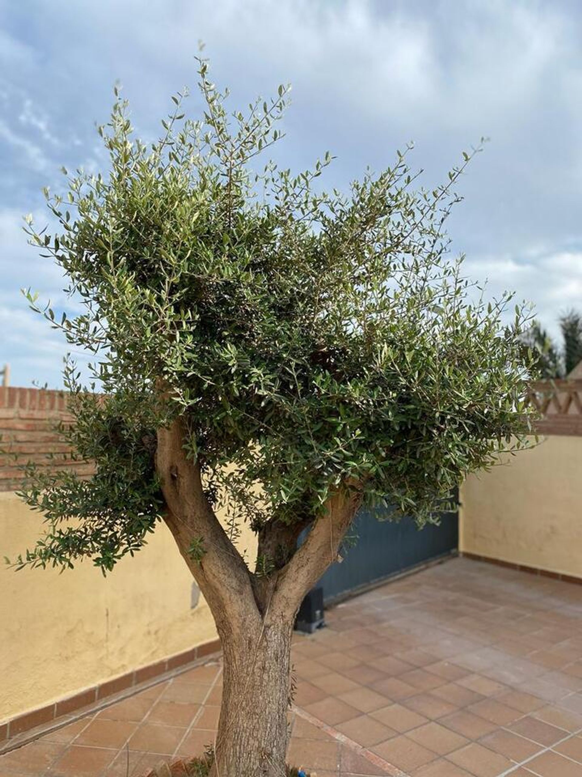 жилой дом в Cuevas del Almanzora, Andalucía 11379669