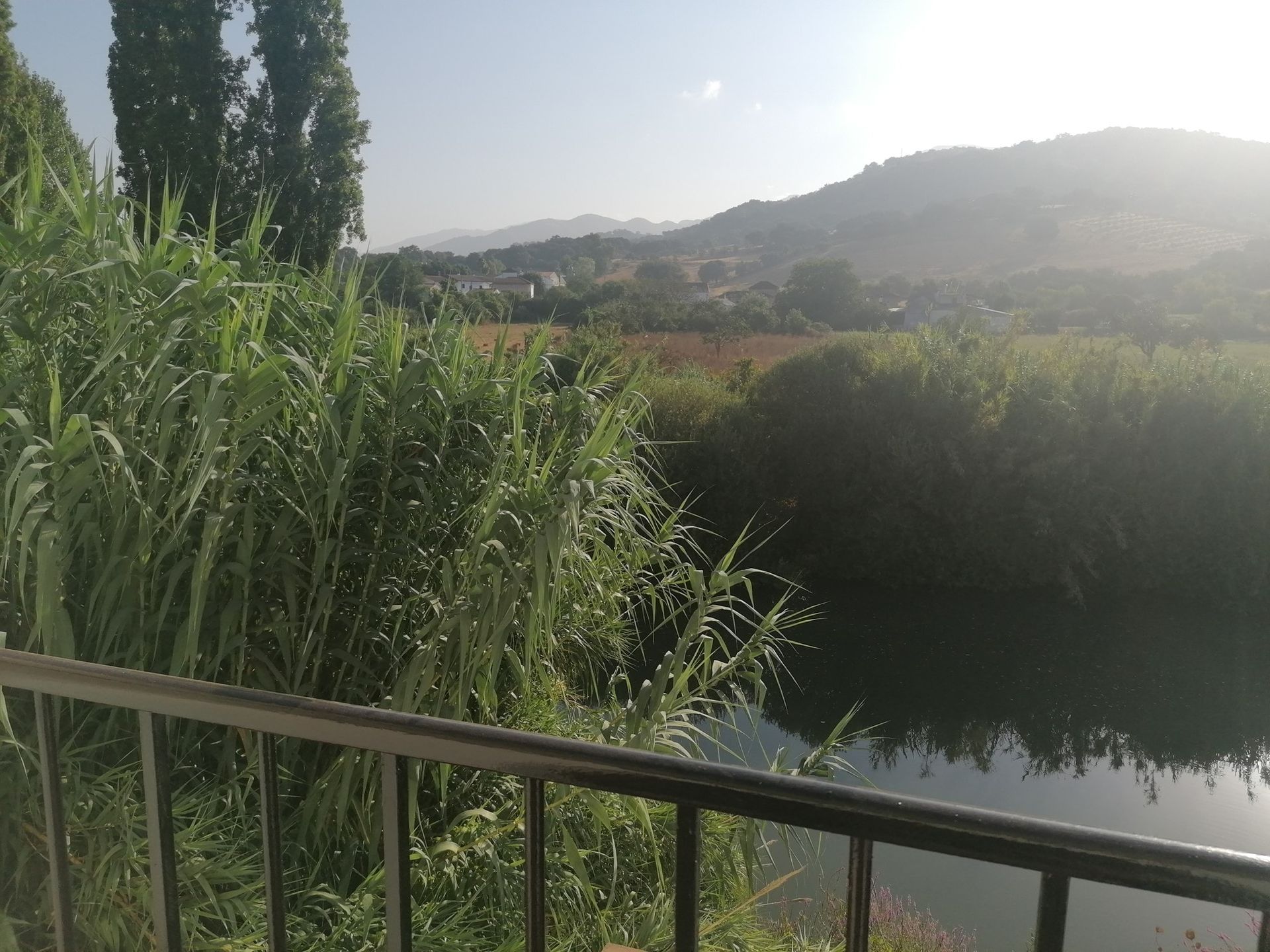 casa en Cortes de la Frontera, Andalucía 11379911