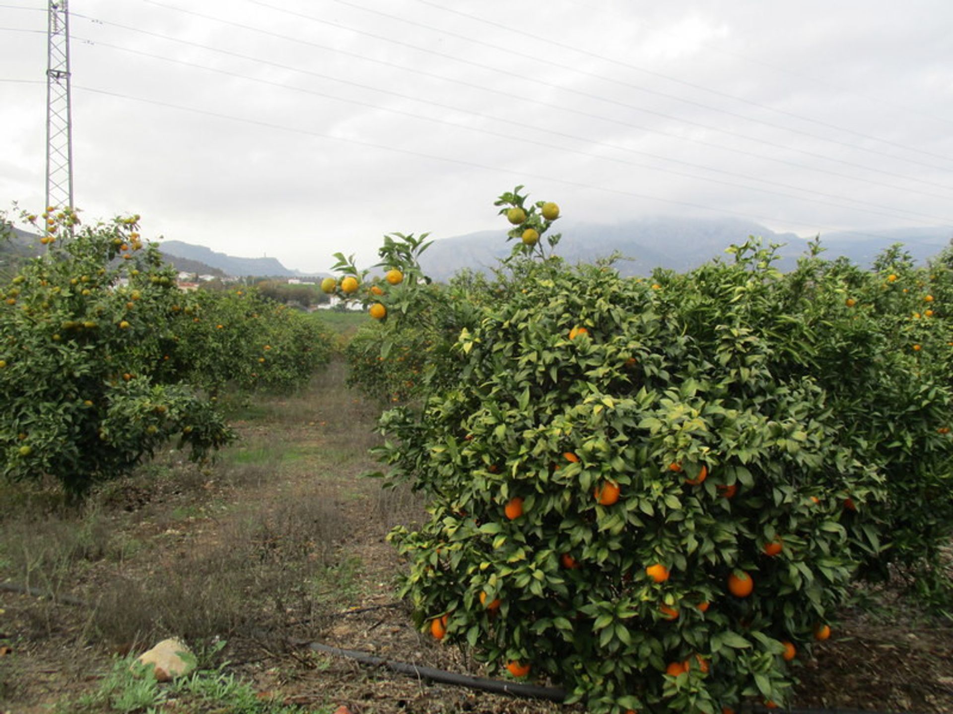 בַּיִת ב Álora, Andalucía 11379972