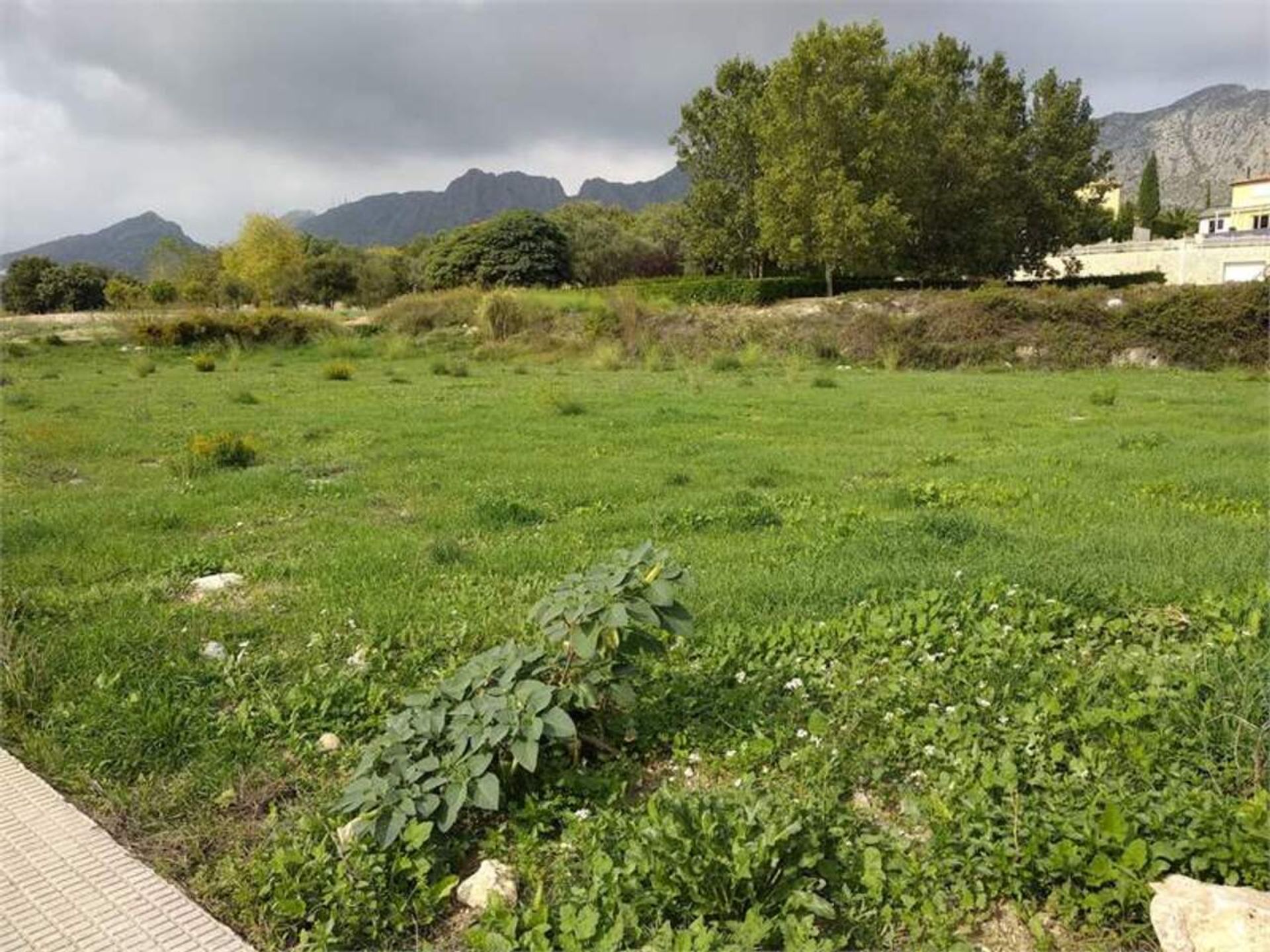 casa en Beniarbeig, Comunidad Valenciana 11381630