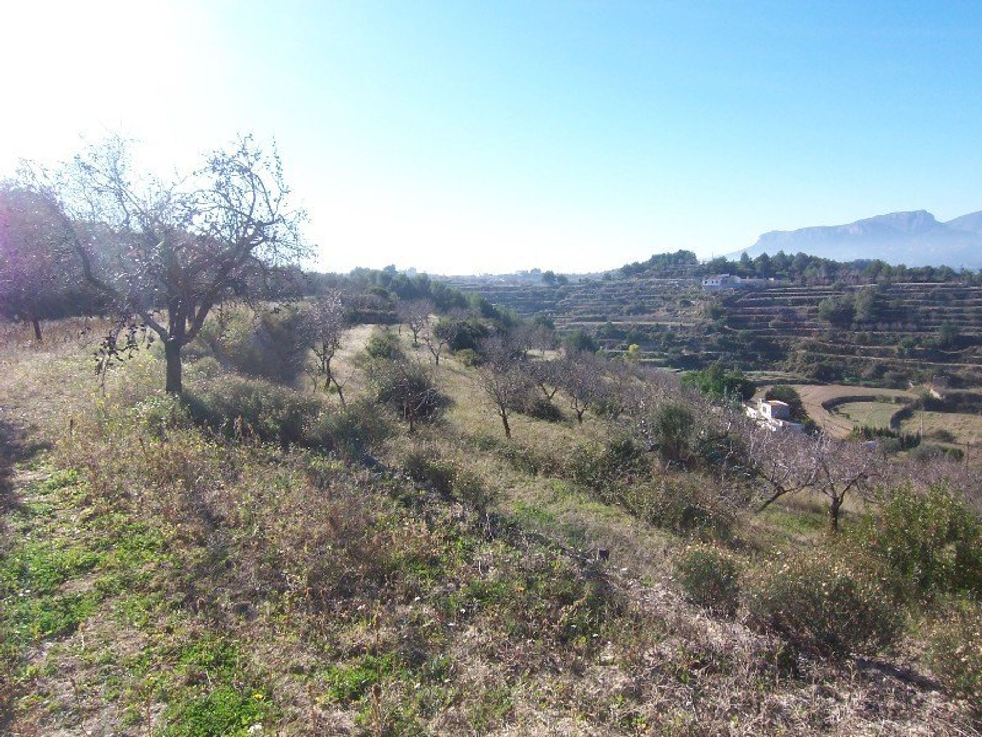 Tierra en , Comunidad Valenciana 11382219