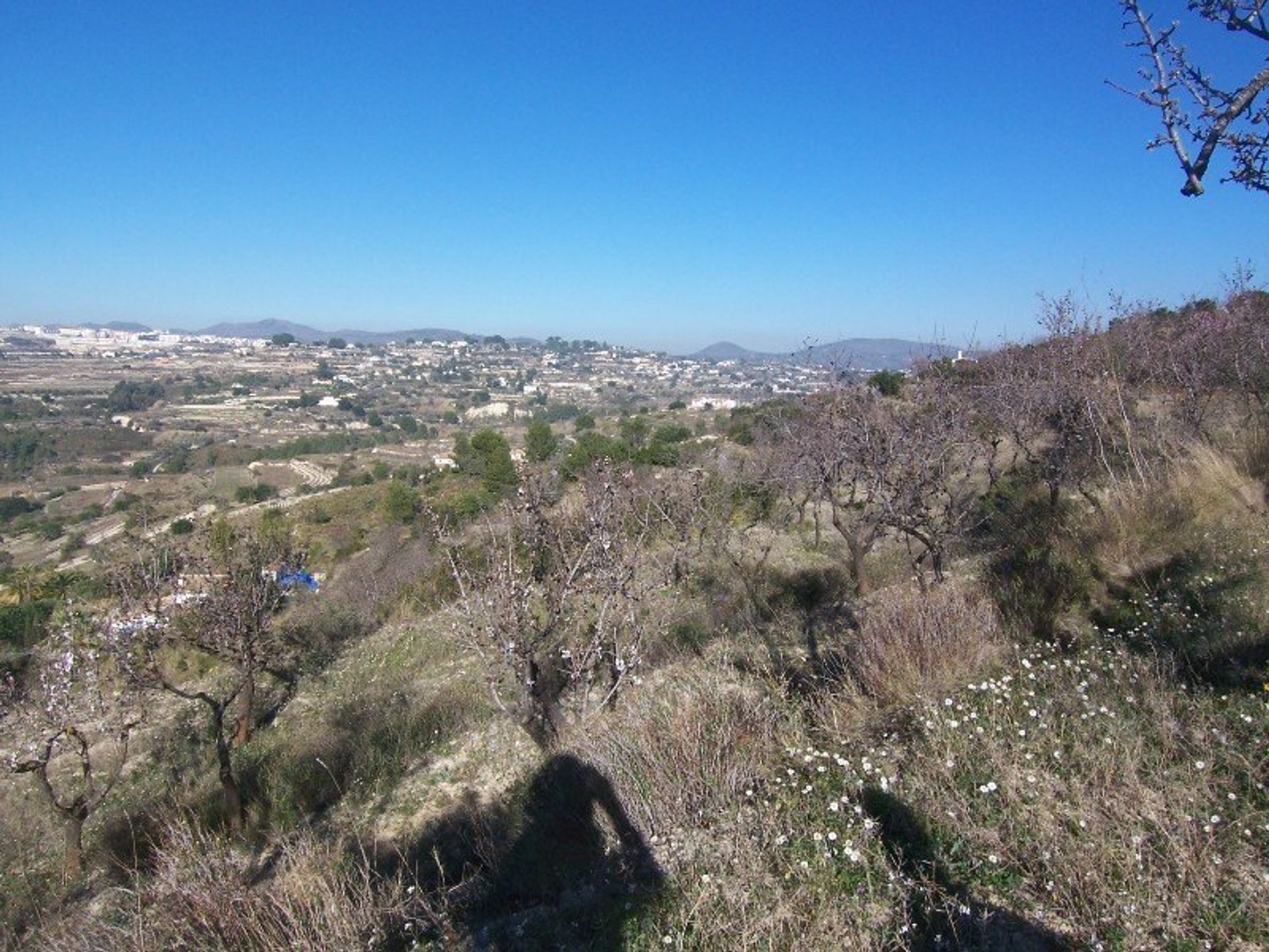 Tierra en , Comunidad Valenciana 11382219