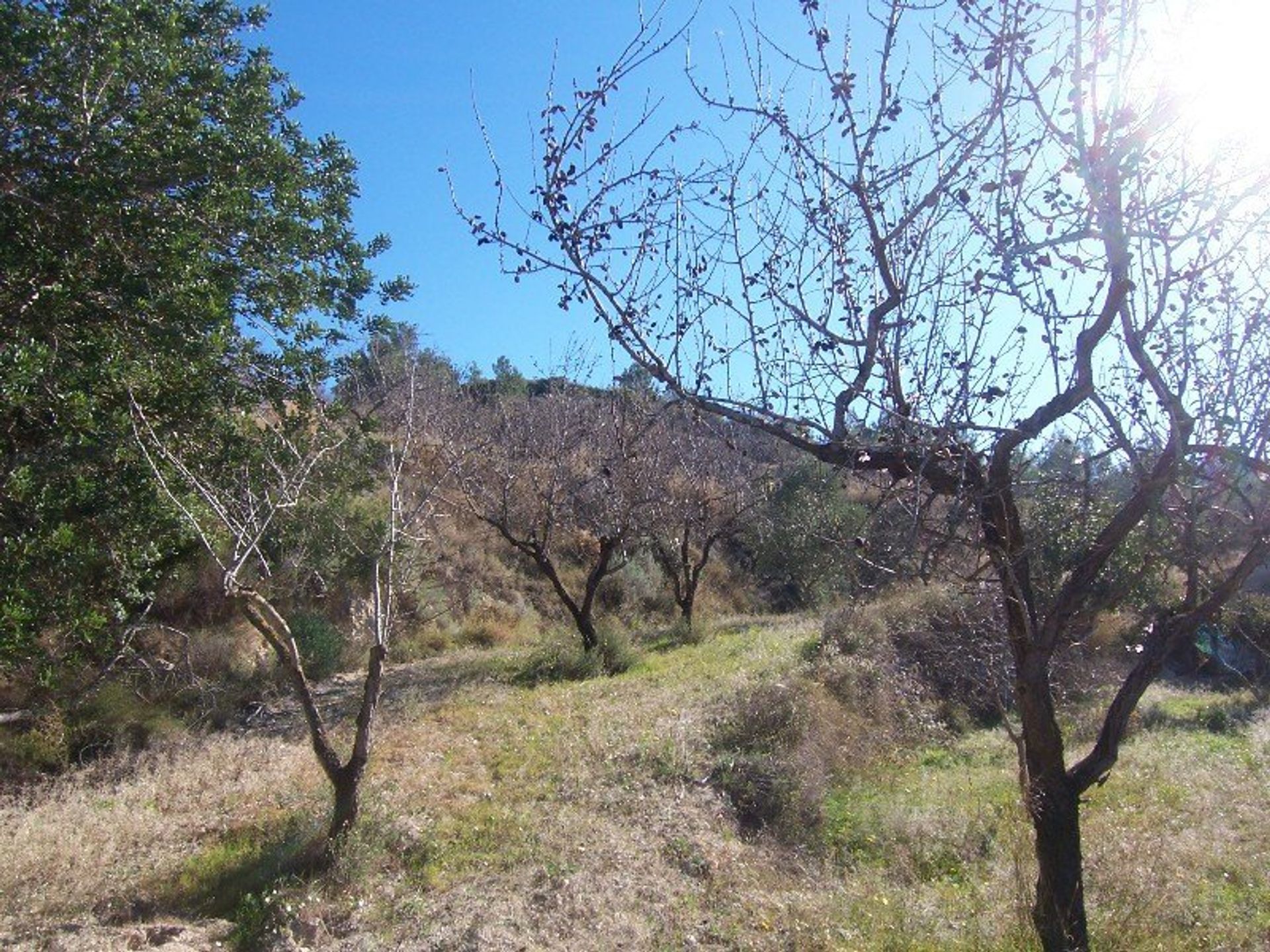 Tierra en , Comunidad Valenciana 11382219