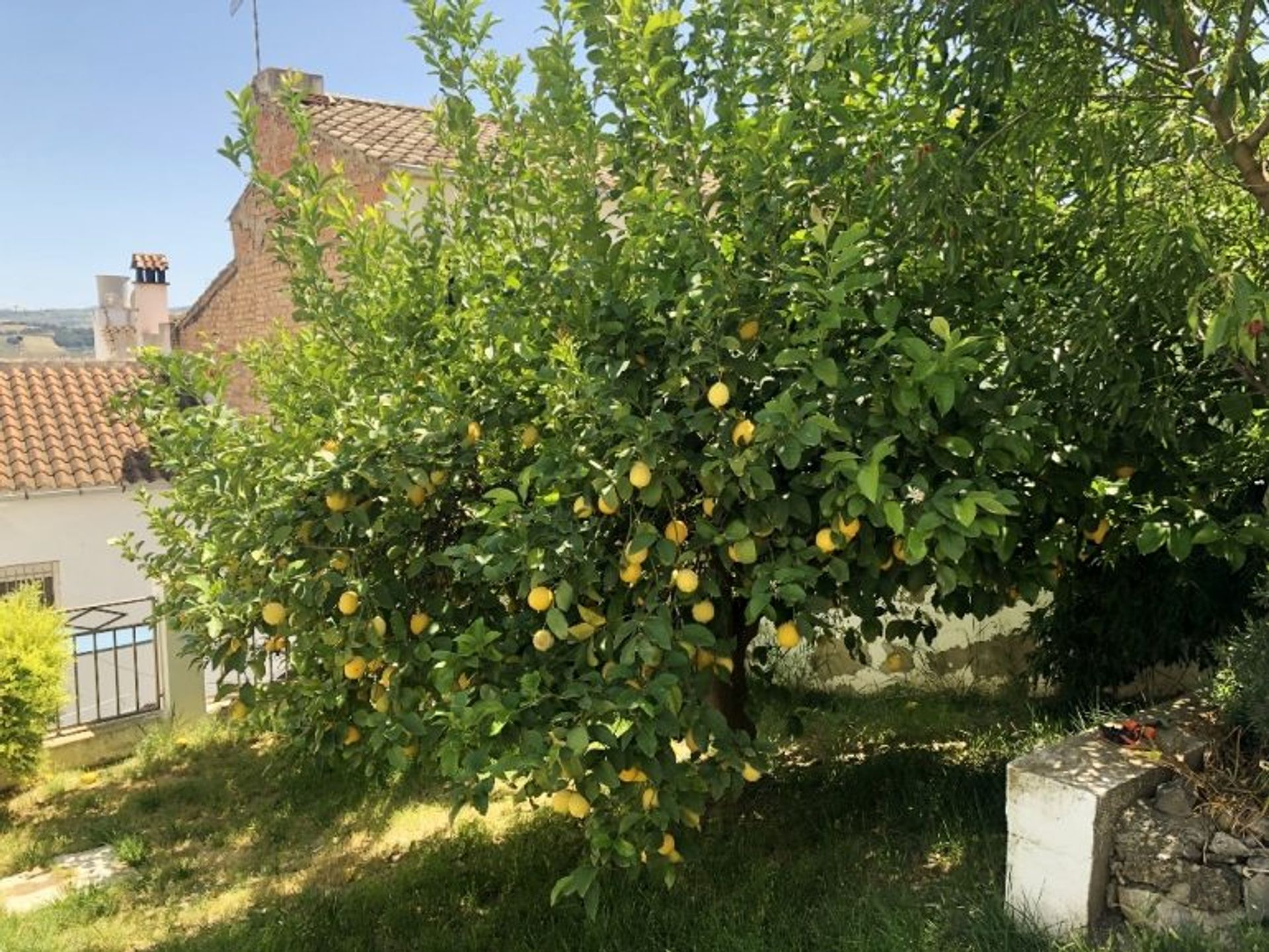 Rumah di Olvera, Andalucía 11383926