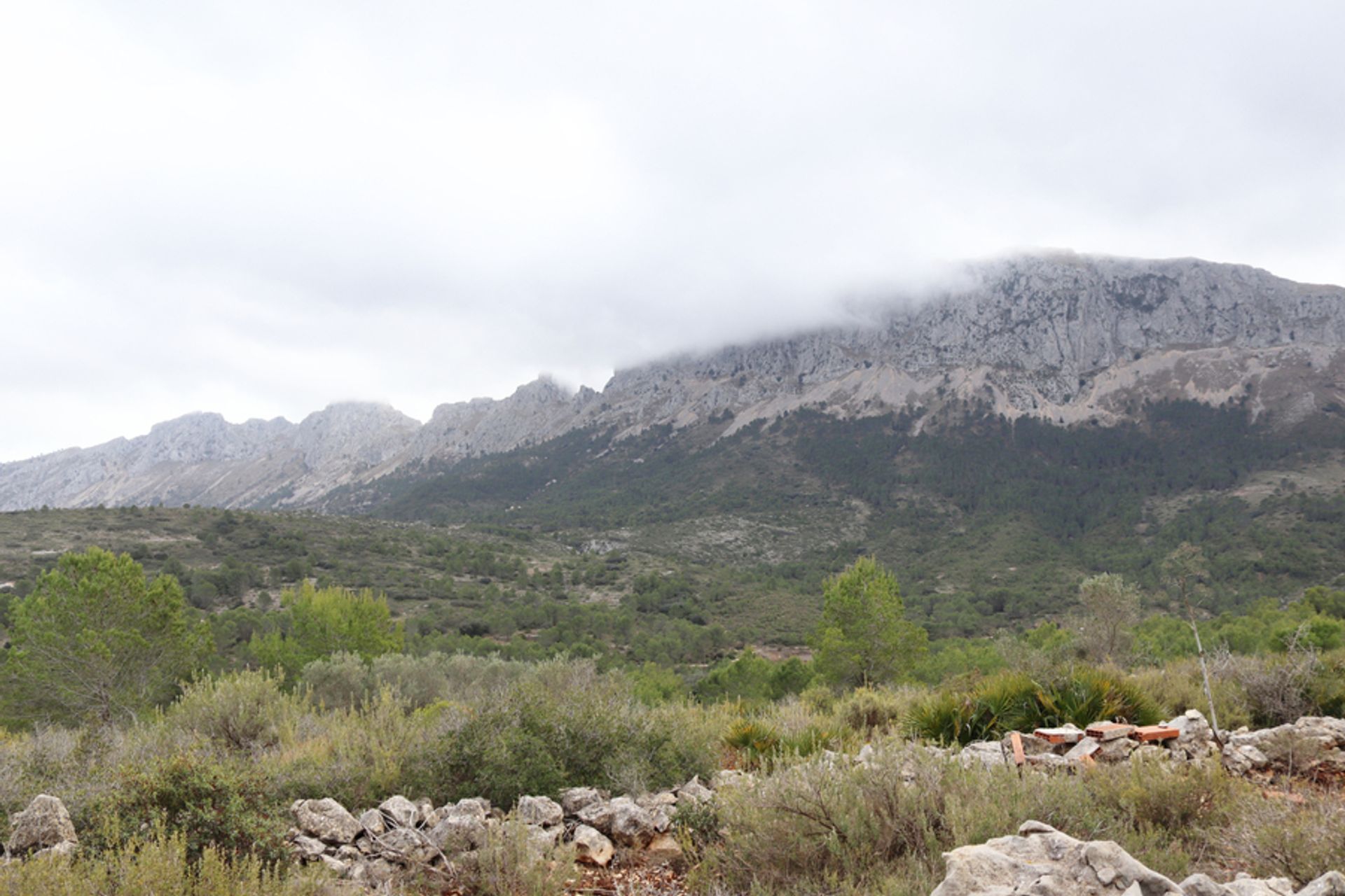 Tanah di Xaló, Comunidad Valenciana 11385107