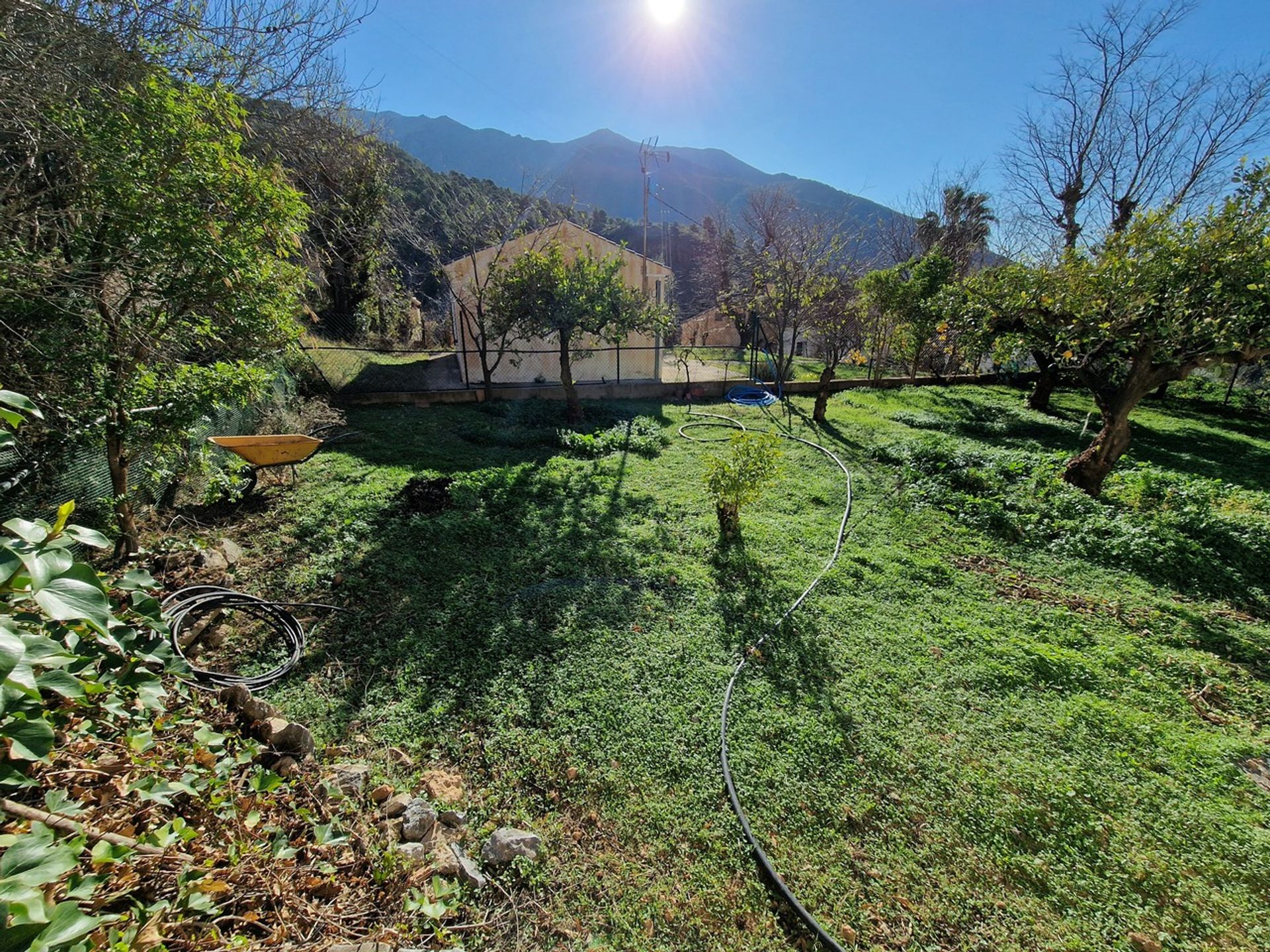 Huis in Alcaucín, Andalucía 11385294