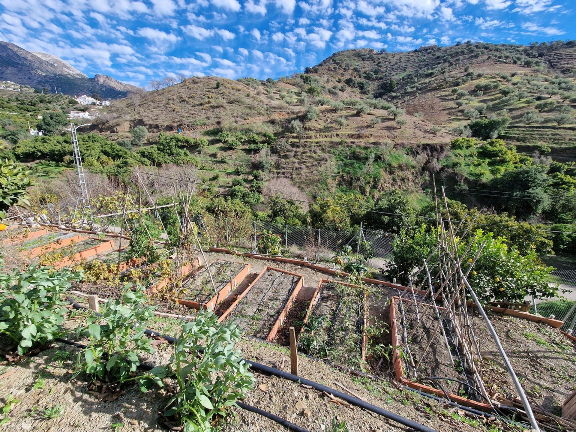 मकान में Canillas de Aceituno, Andalucía 11385450