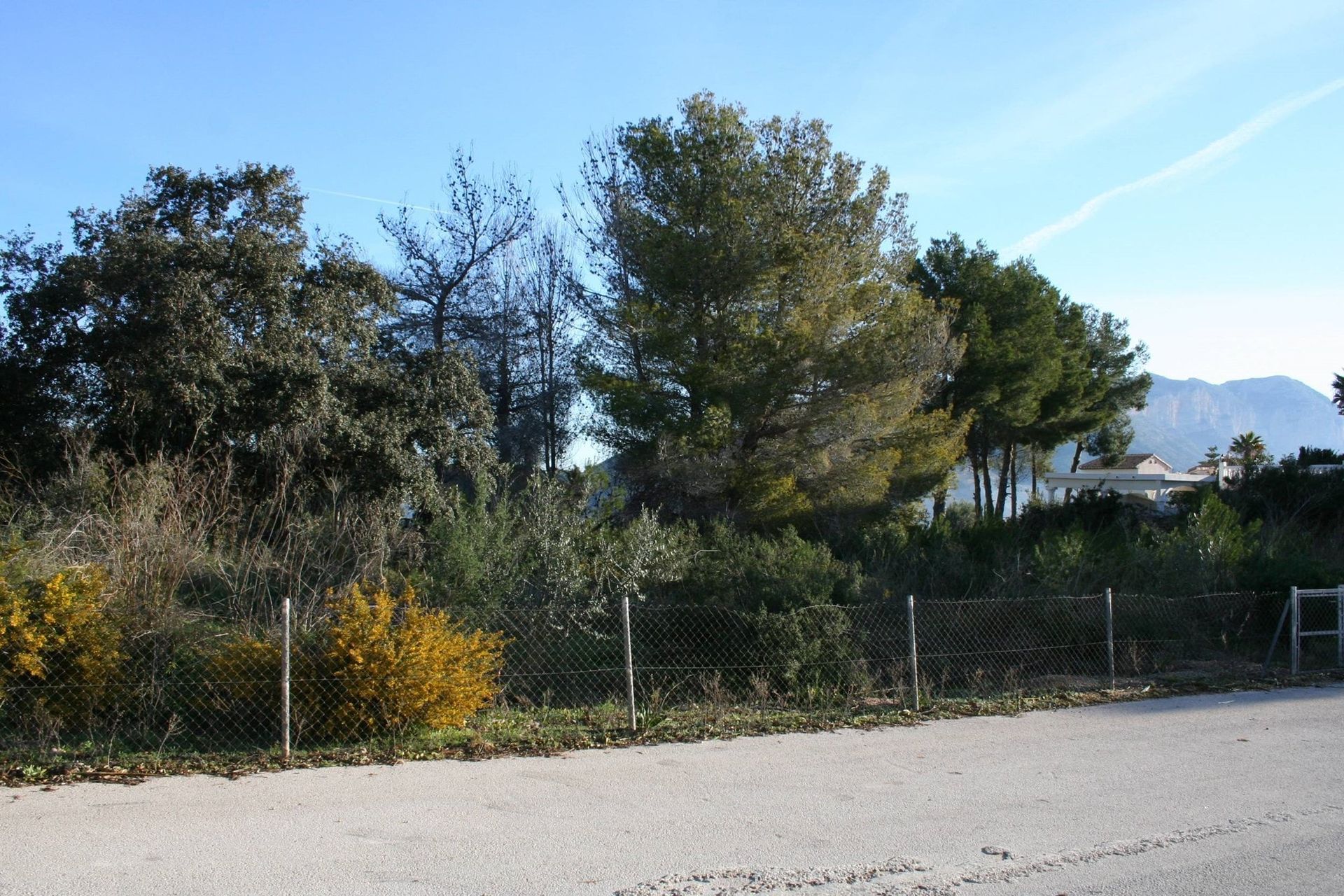 Terre dans Dénia, Valence 11385478