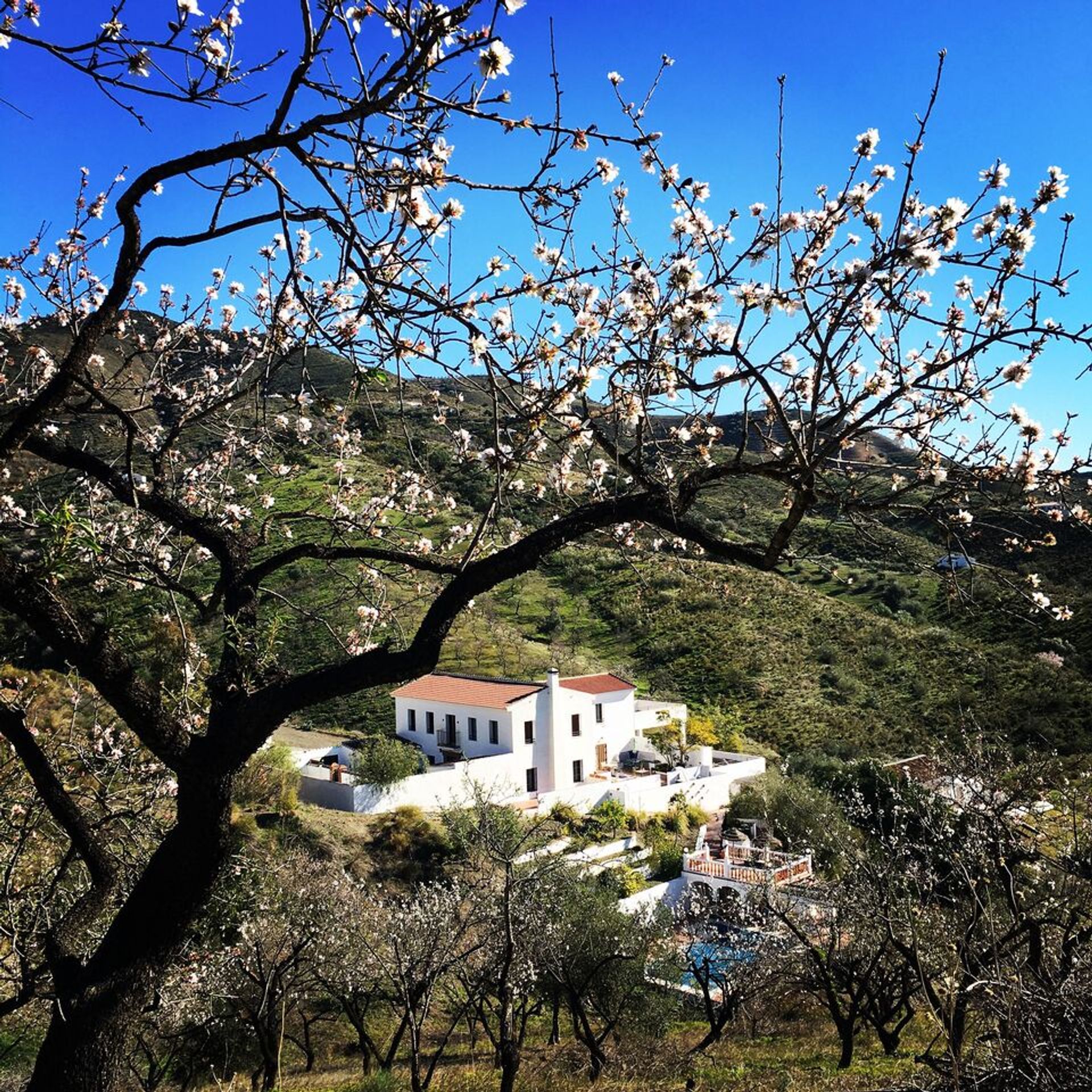 Будинок в Canillas de Aceituno, Andalucía 11385561