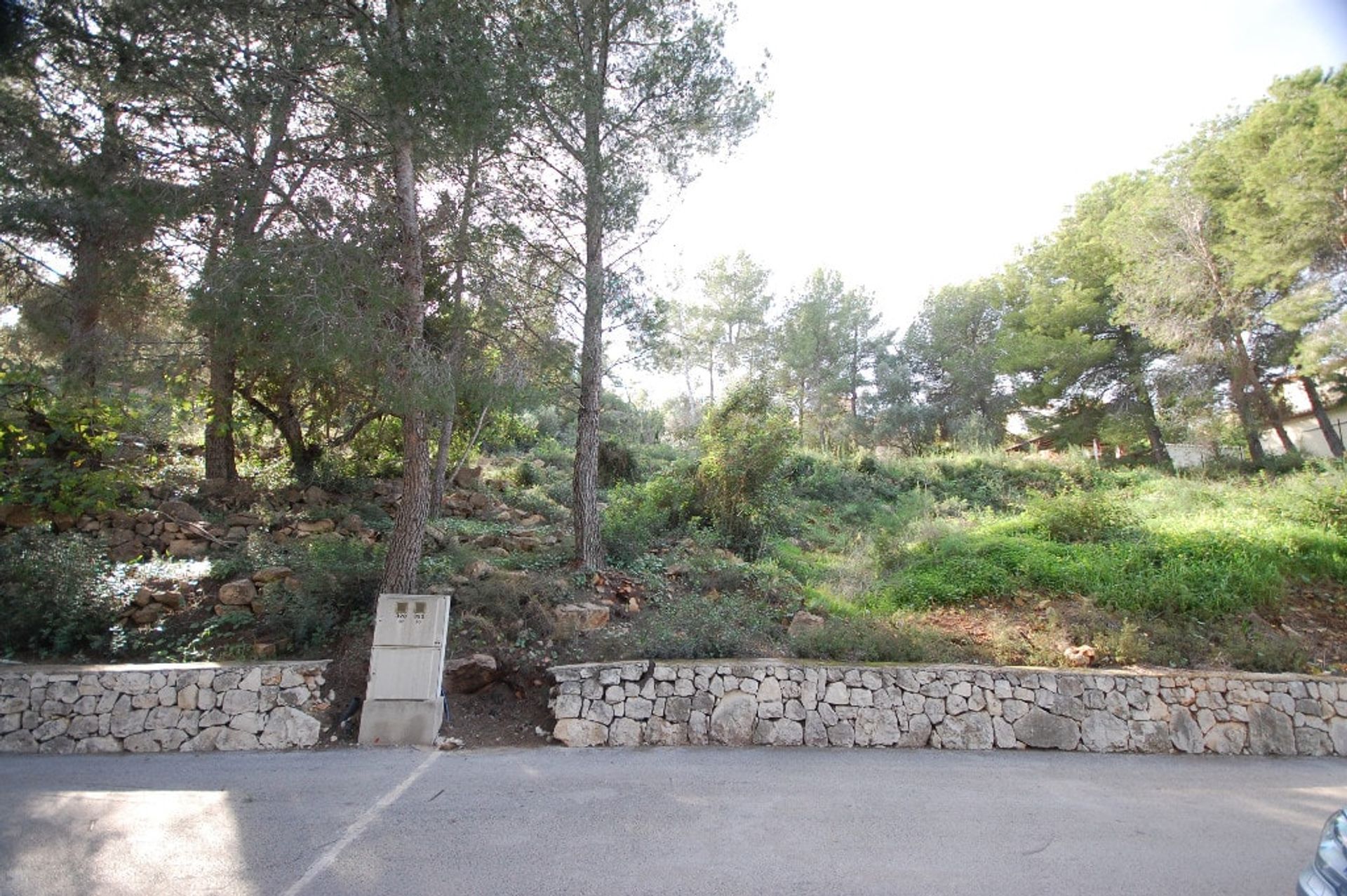 Land in Pedreguer, Comunidad Valenciana 11385699