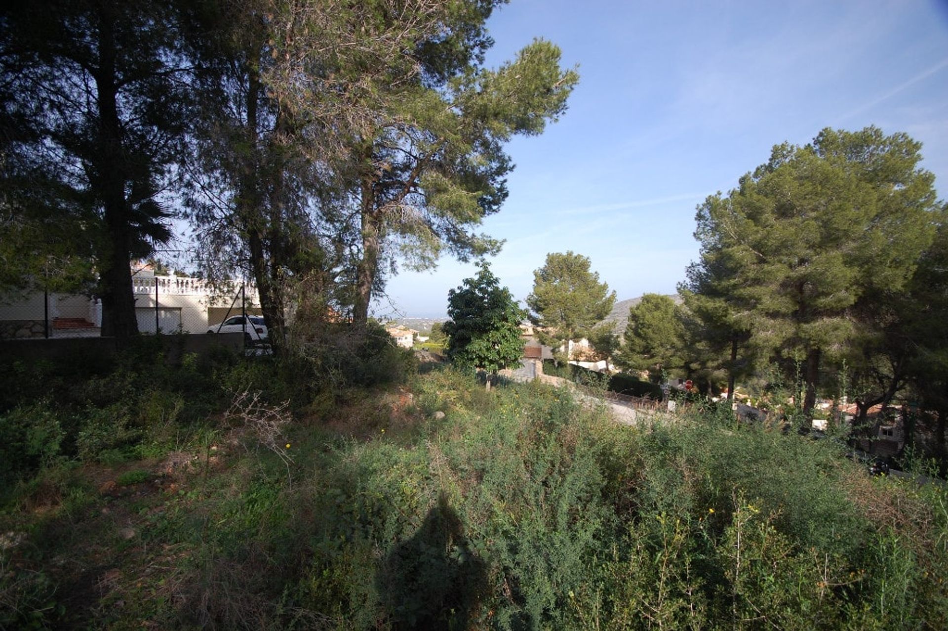 Land in Pedreguer, Comunidad Valenciana 11385699