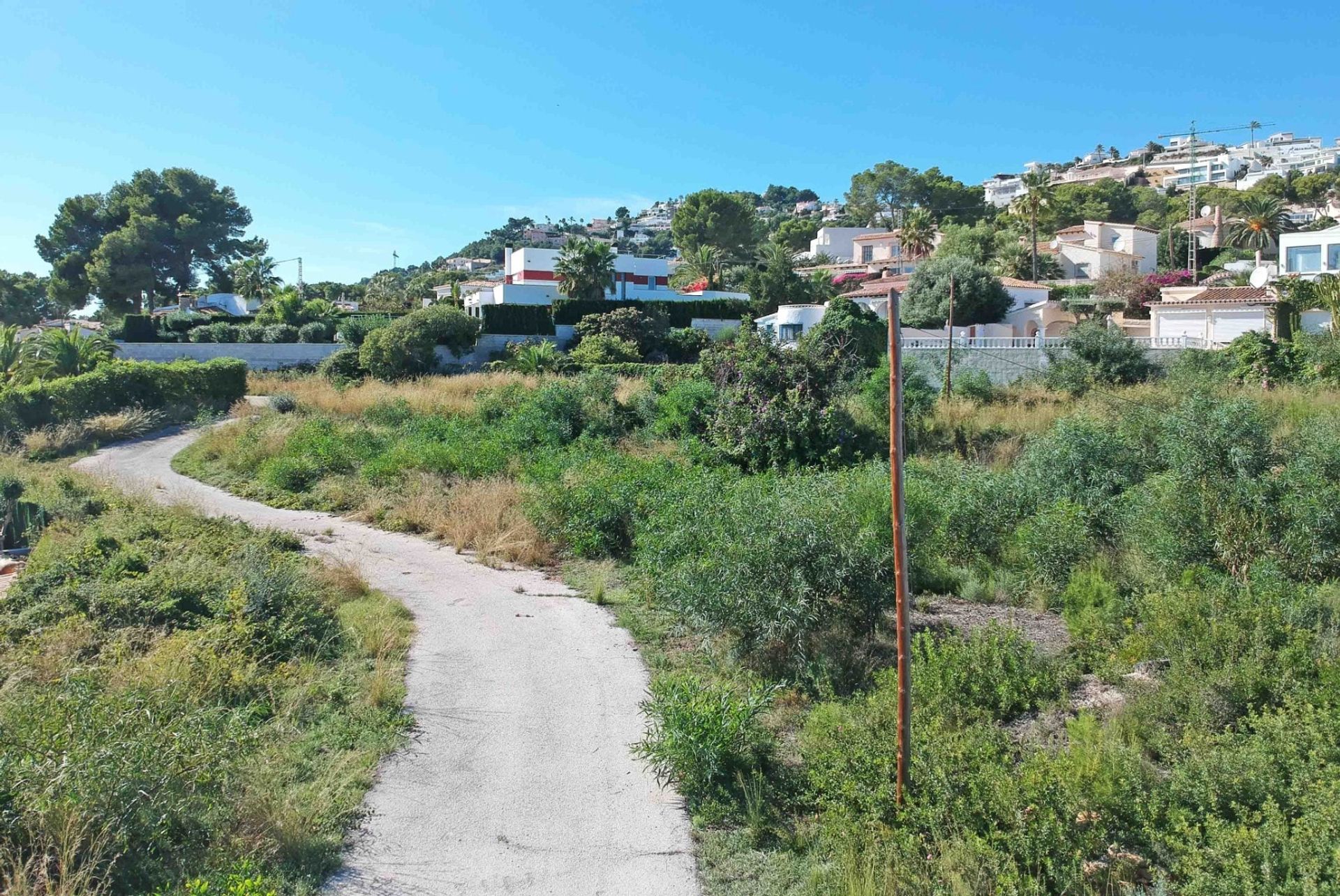 Terre dans Morayra, les îles Canaries 11386531