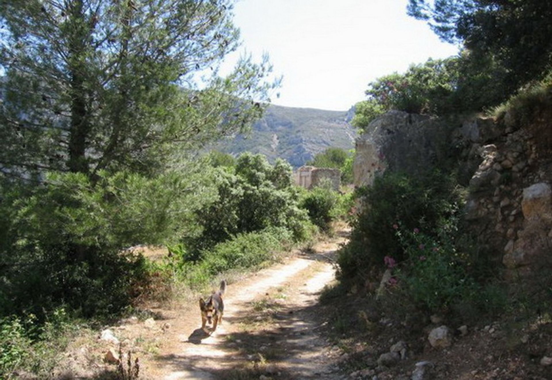 House in Tàrbena, Comunidad Valenciana 11386850