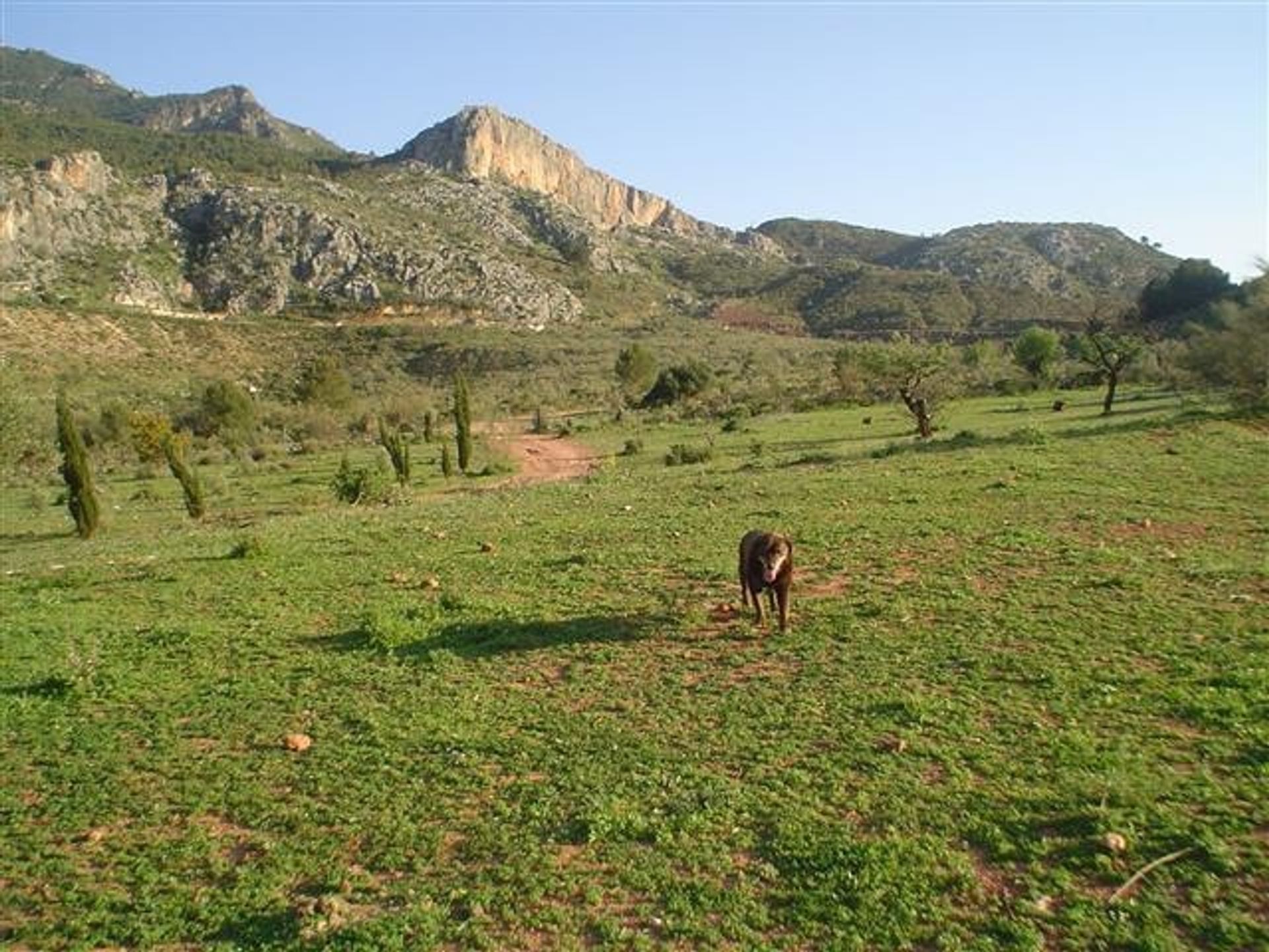 Будинок в Ardales, Andalucía 11386875