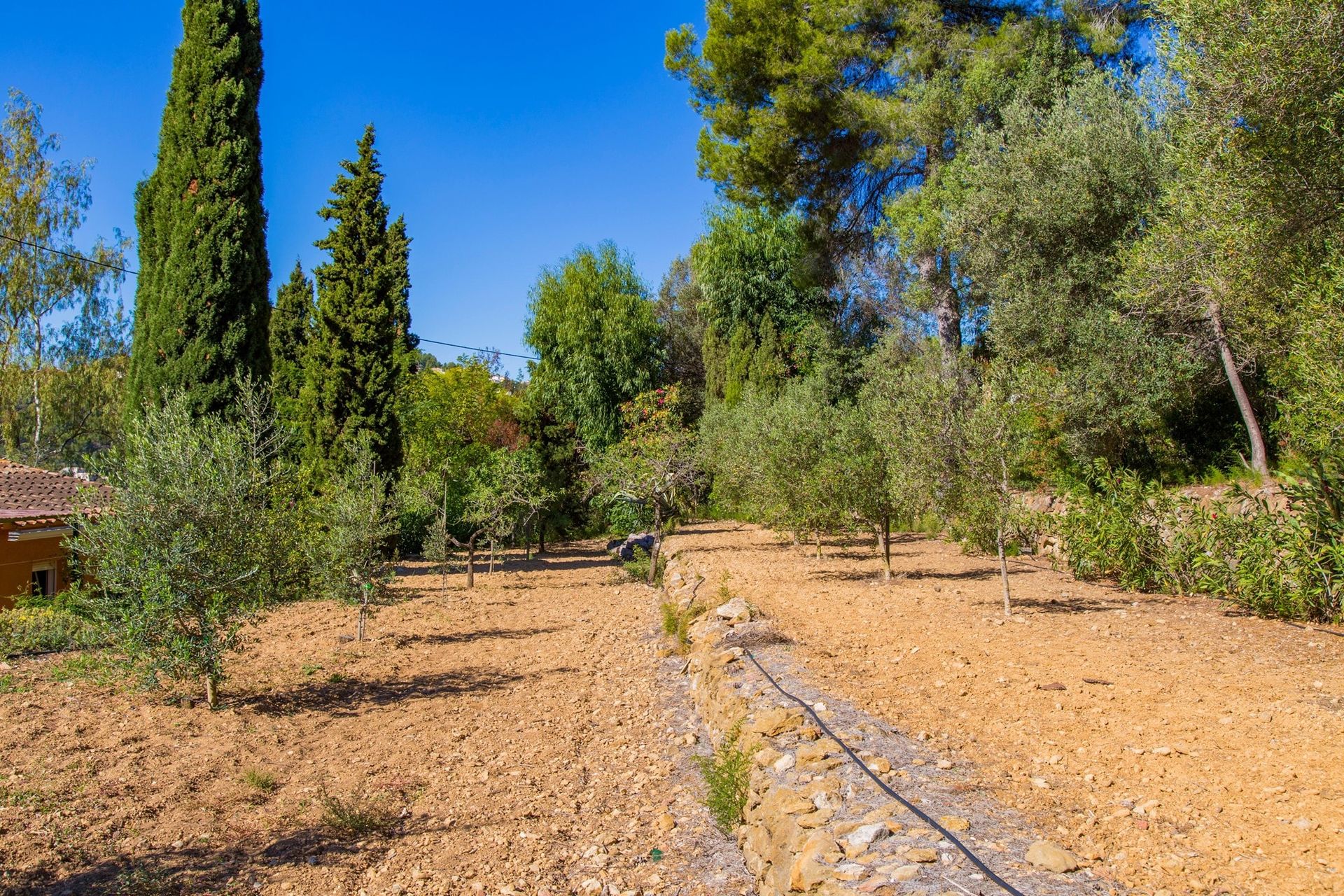 Haus im Gata de Gorgos, Valencia 11386954