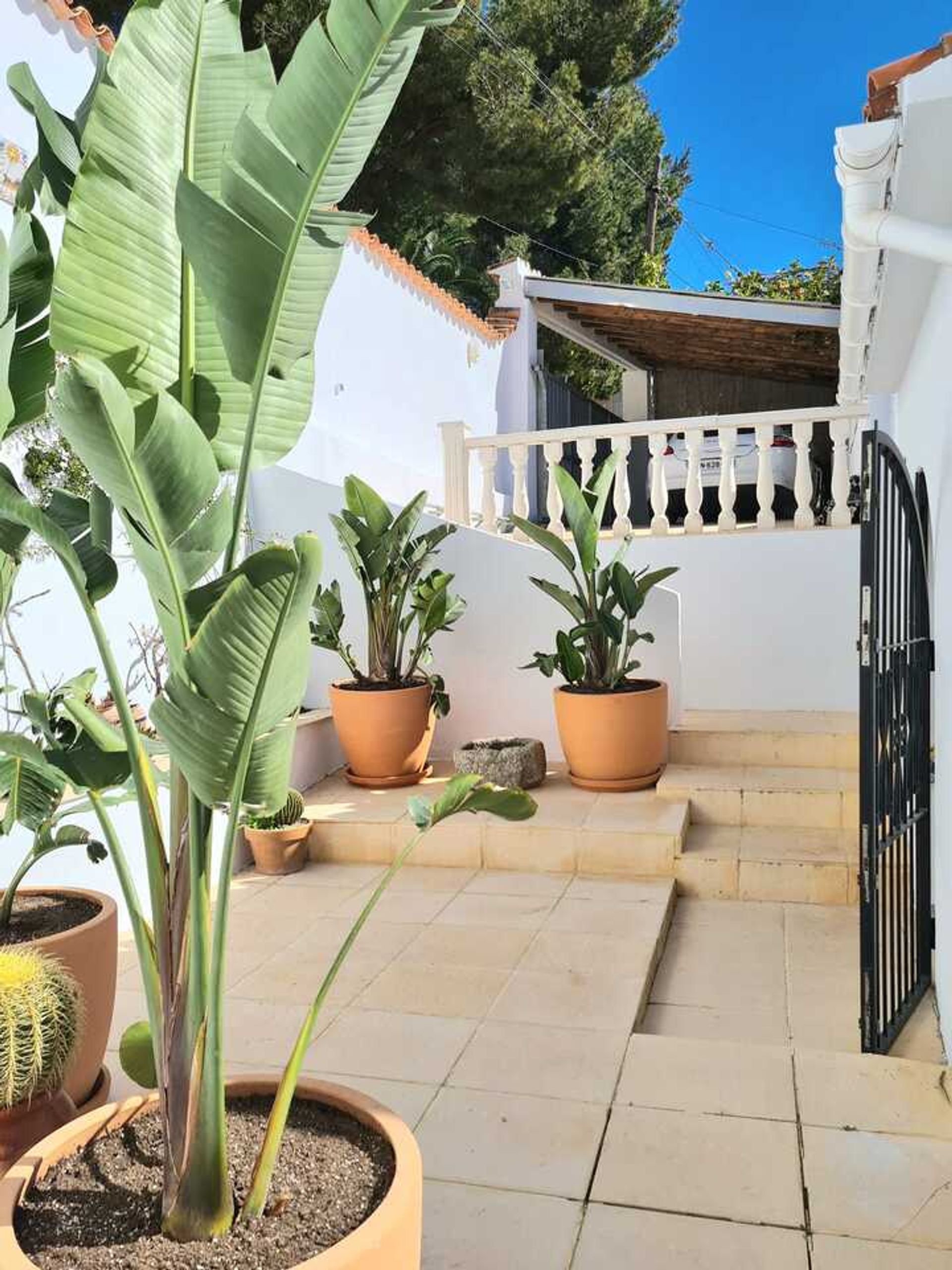 House in , Comunidad Valenciana 11387411