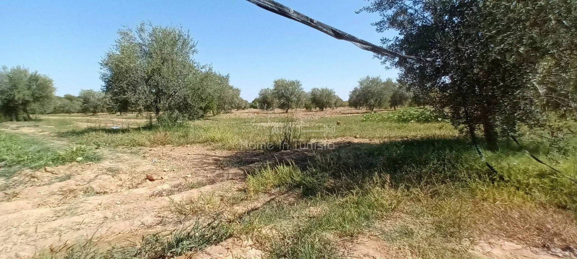 casa en Sidi el Hani, Susa 11388176