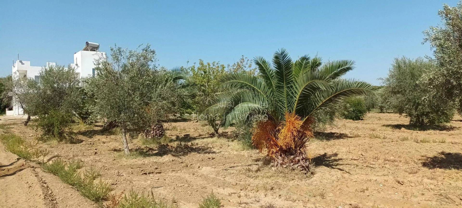 بيت في Sidi Al-Hani, Sousse 11388176