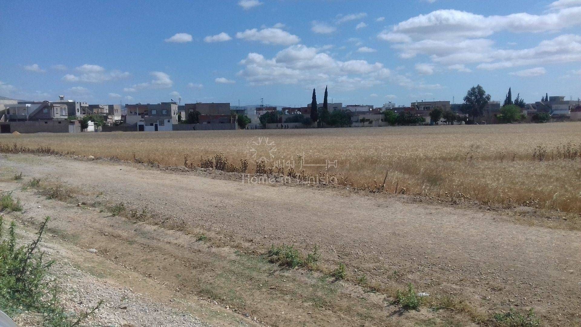 Land in Medjez el Bab, Beja 11388916