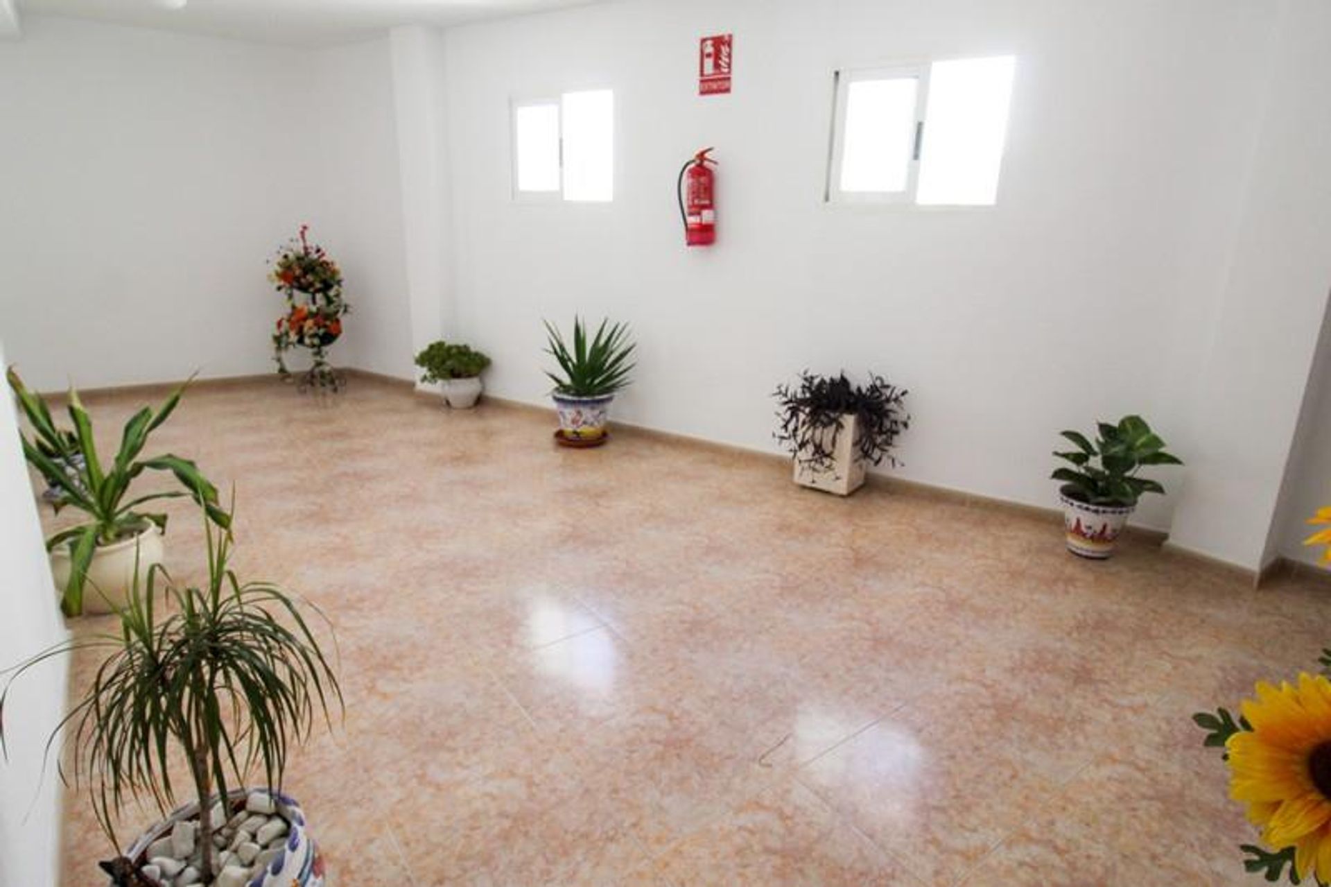 Condominium in Almoradí, Comunidad Valenciana 11389954