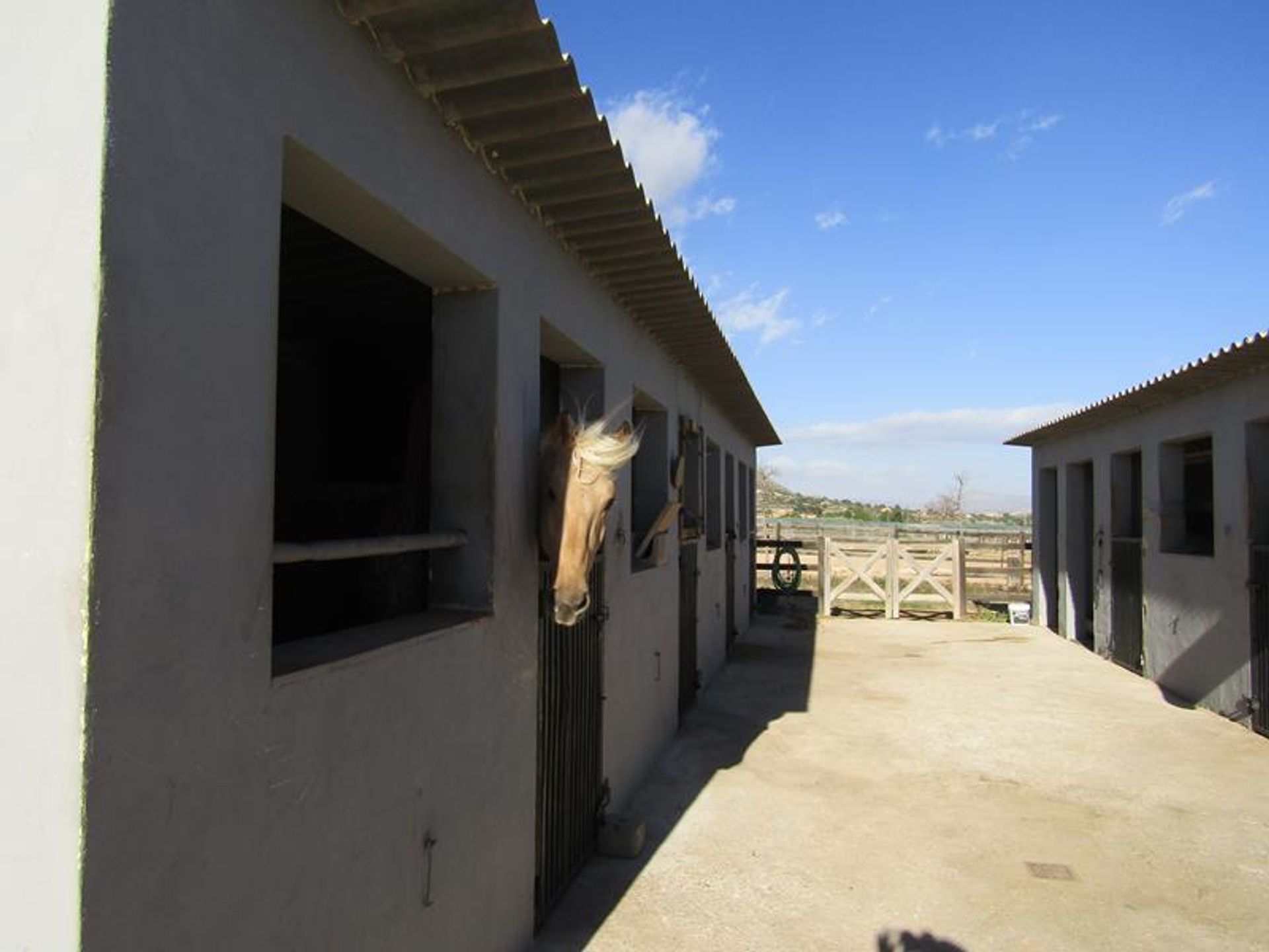 casa no El Fondó de les Neus, Comunidad Valenciana 11389956