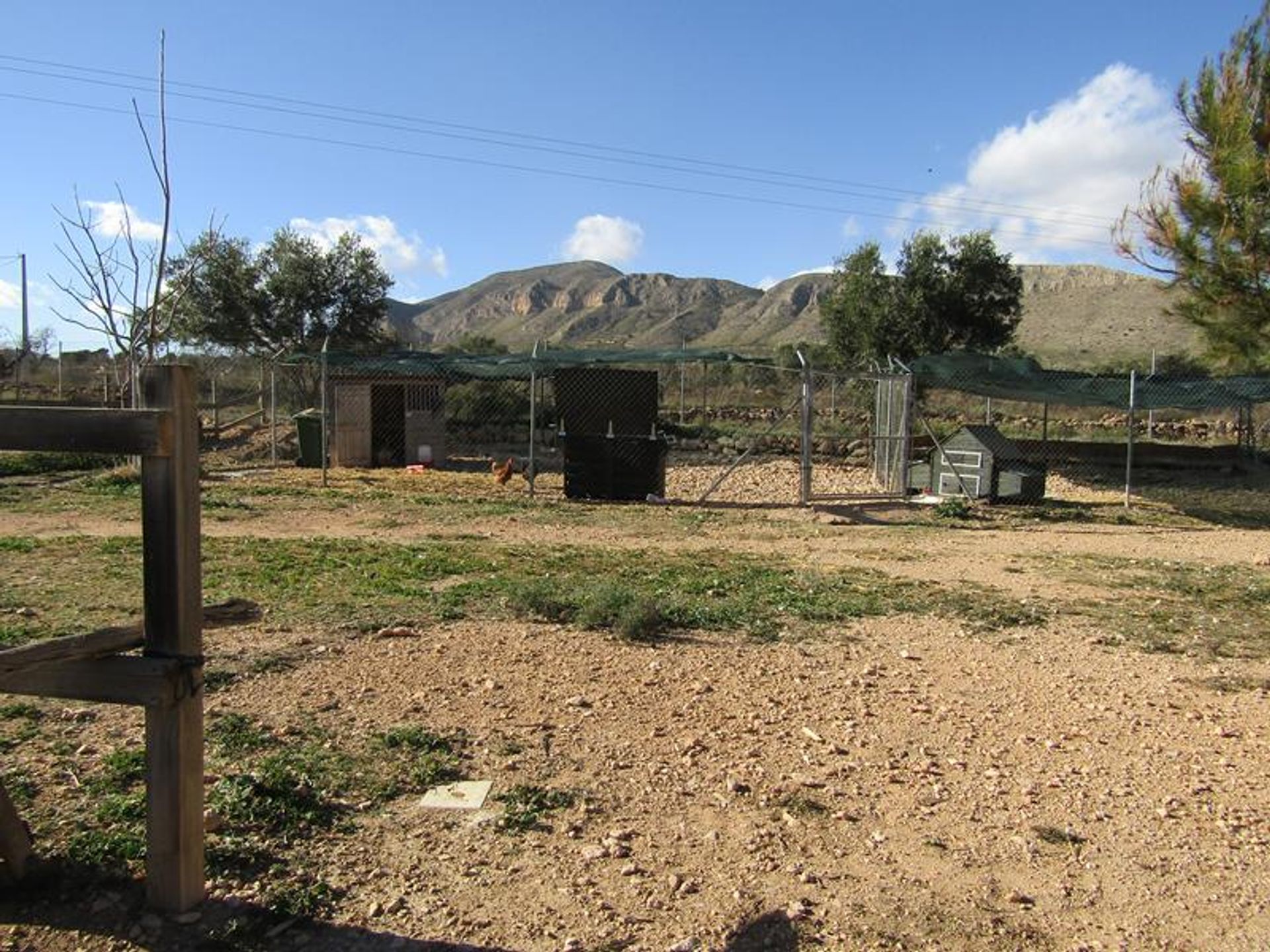 casa no El Fondó de les Neus, Comunidad Valenciana 11389956