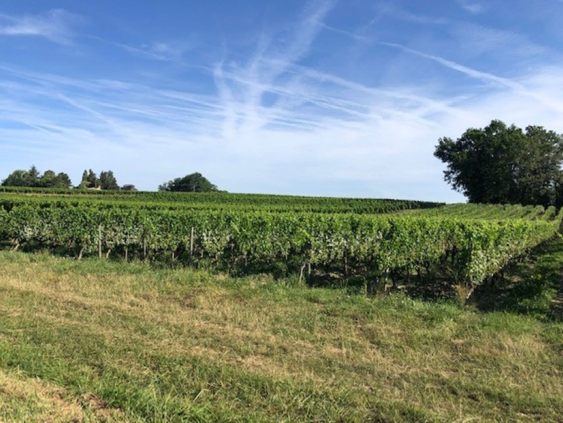 Rumah di Bergerac, Nouvelle-Aquitaine 11389974