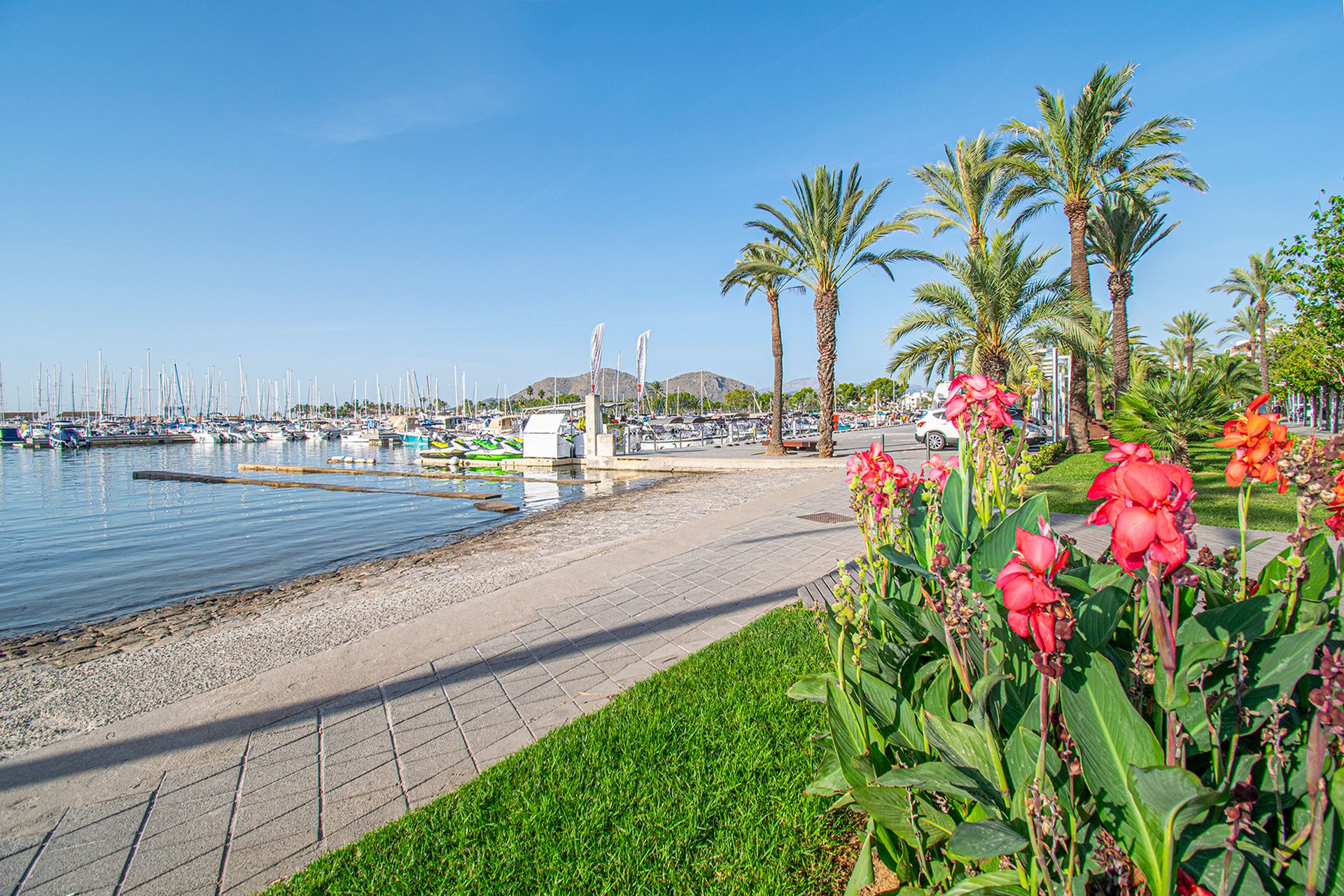 Borettslag i Port d'Alcúdia, Illes Balears 11390630