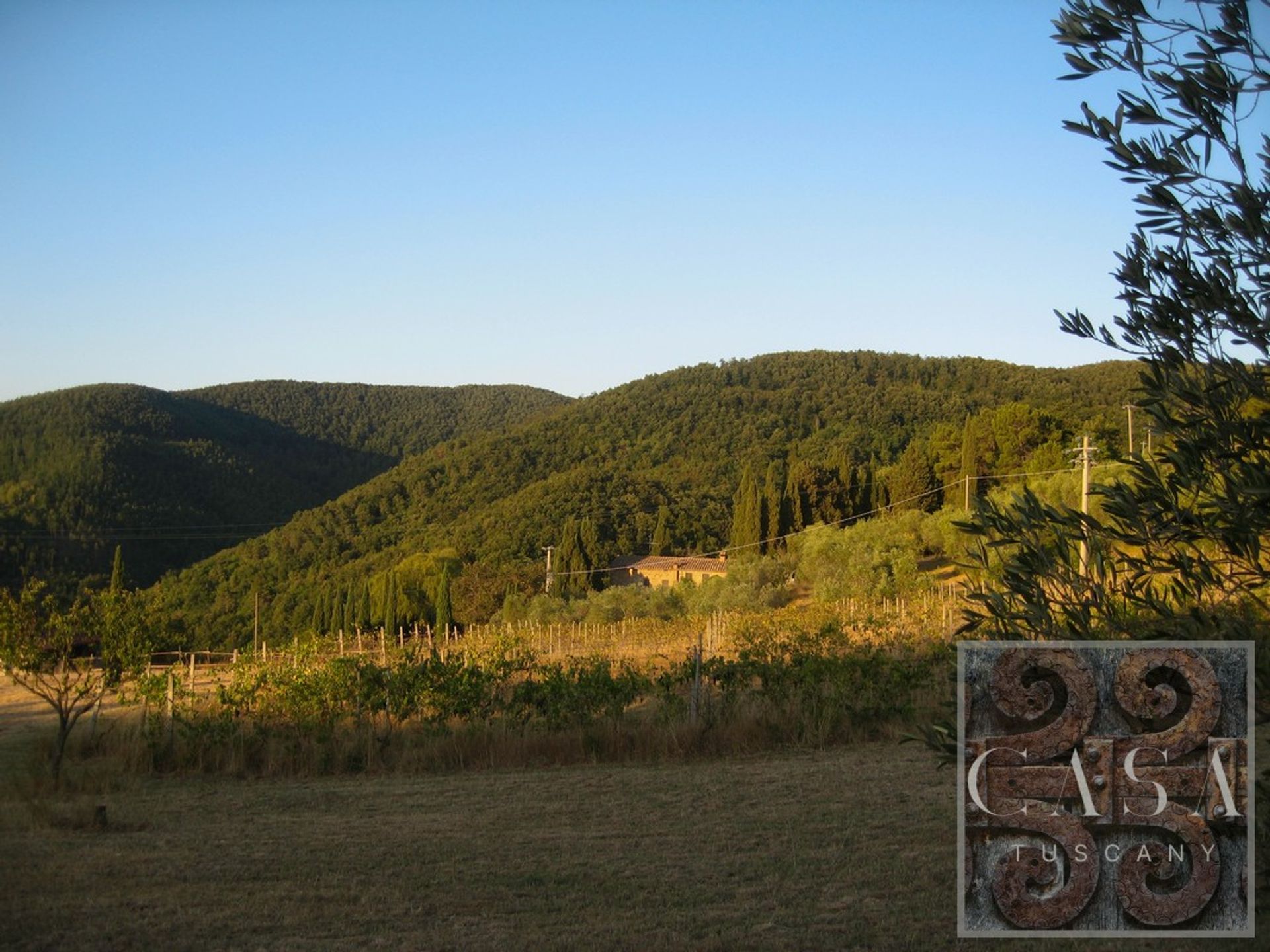 House in Chianni, Tuscany 11390638