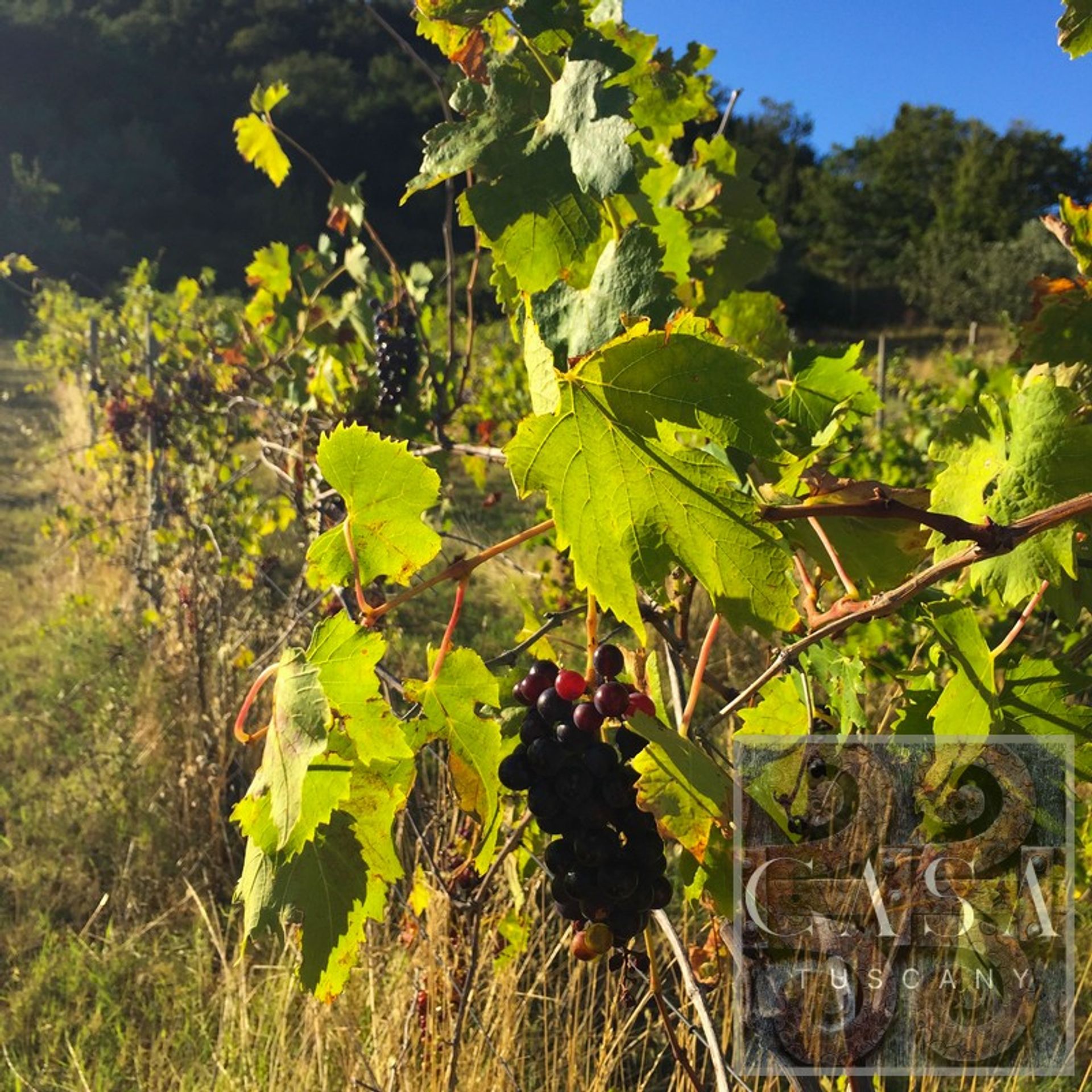 房子 在 Chianni, Tuscany 11390638