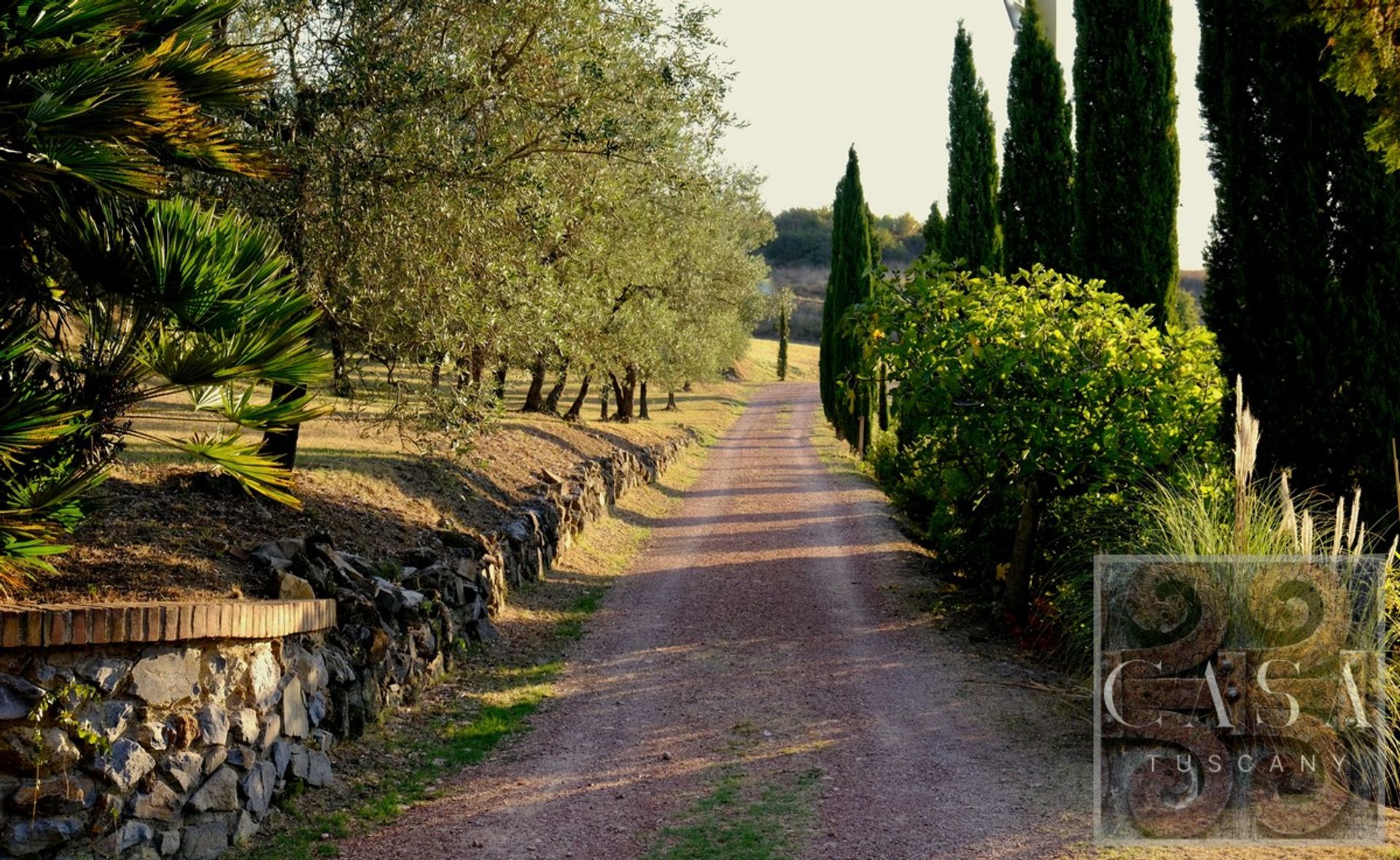 House in Chianni, Tuscany 11390638