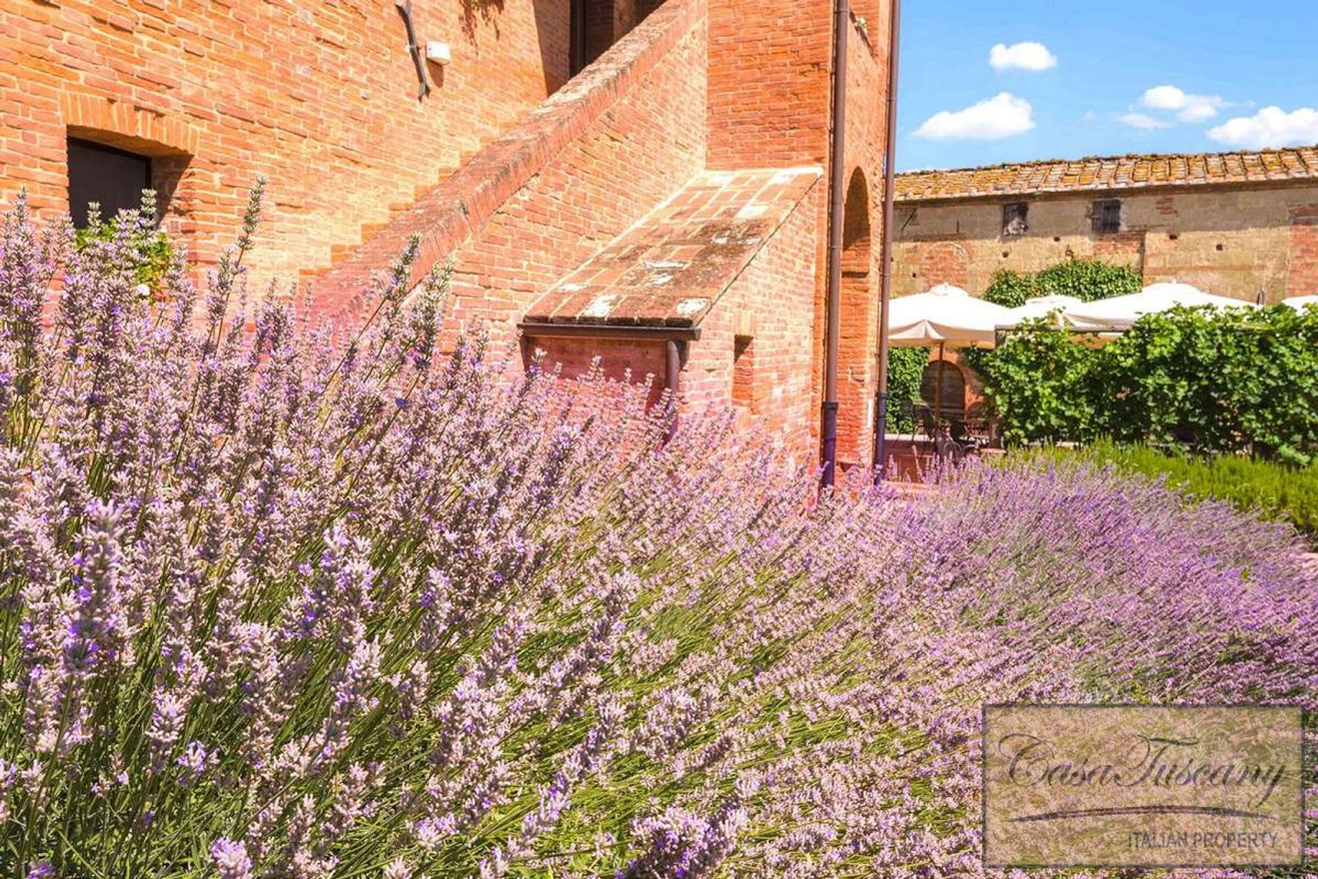 Роздрібна торгівля в Siena, Tuscany 11390655