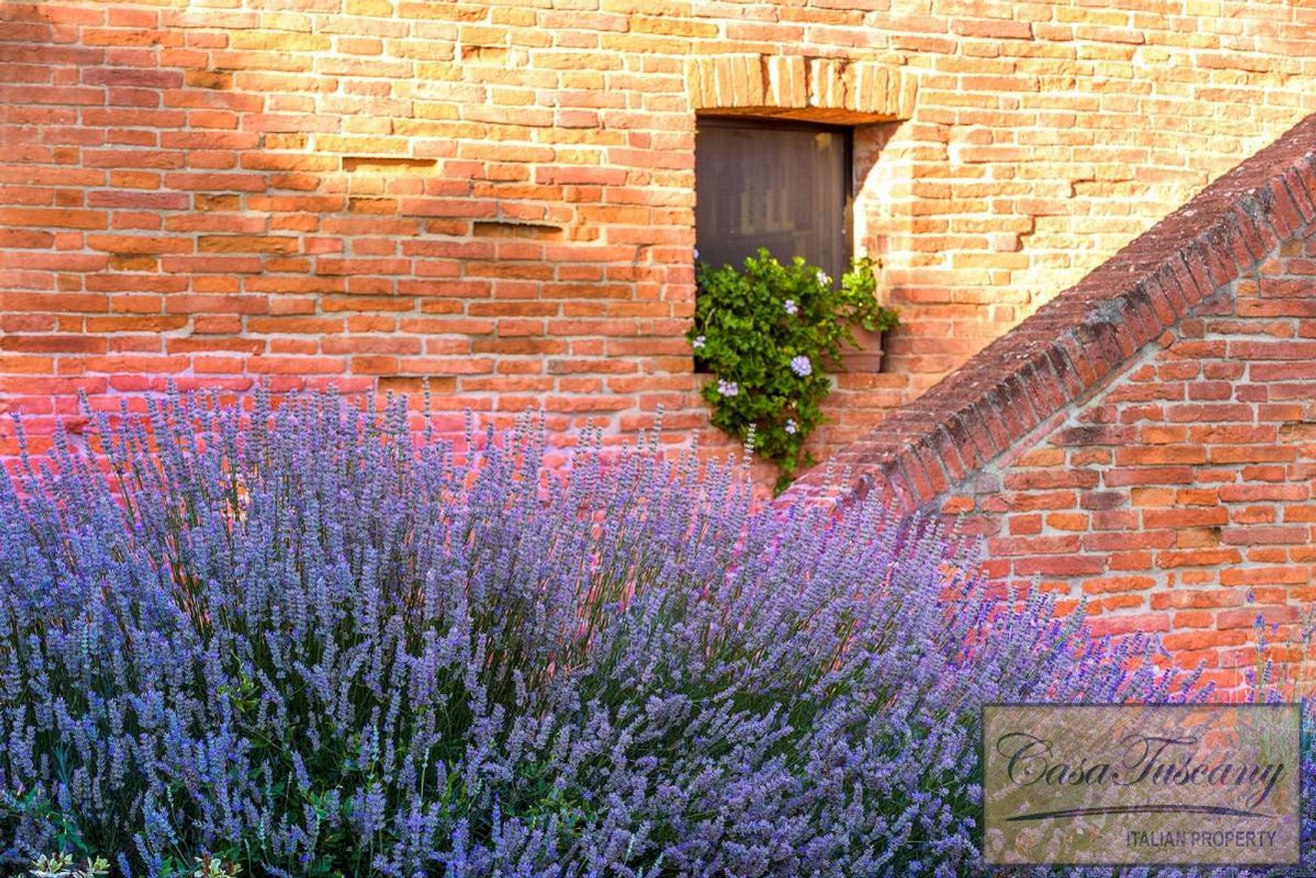 Роздрібна торгівля в Siena, Tuscany 11390655