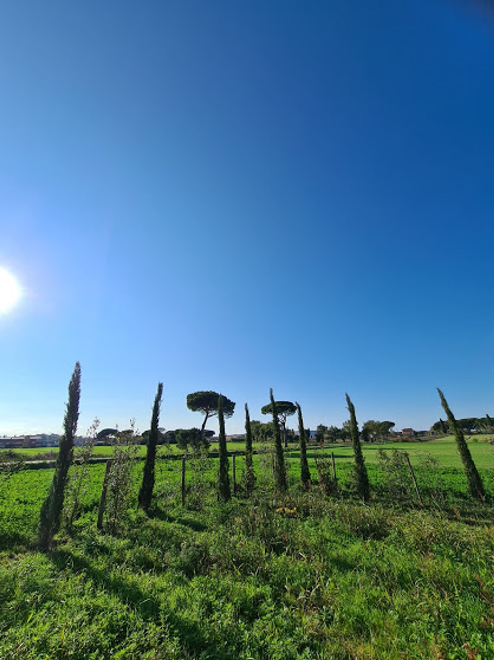 σπίτι σε Castiglione del Lago, Umbria 11390659