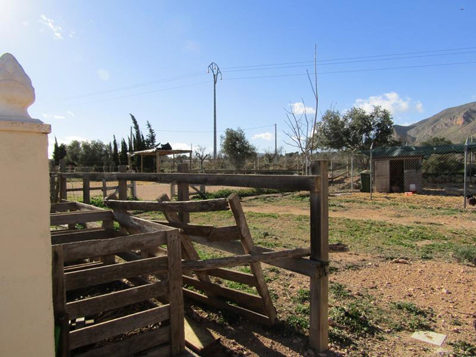 Haus im El Fondó de les Neus, Valencian Community 11390714