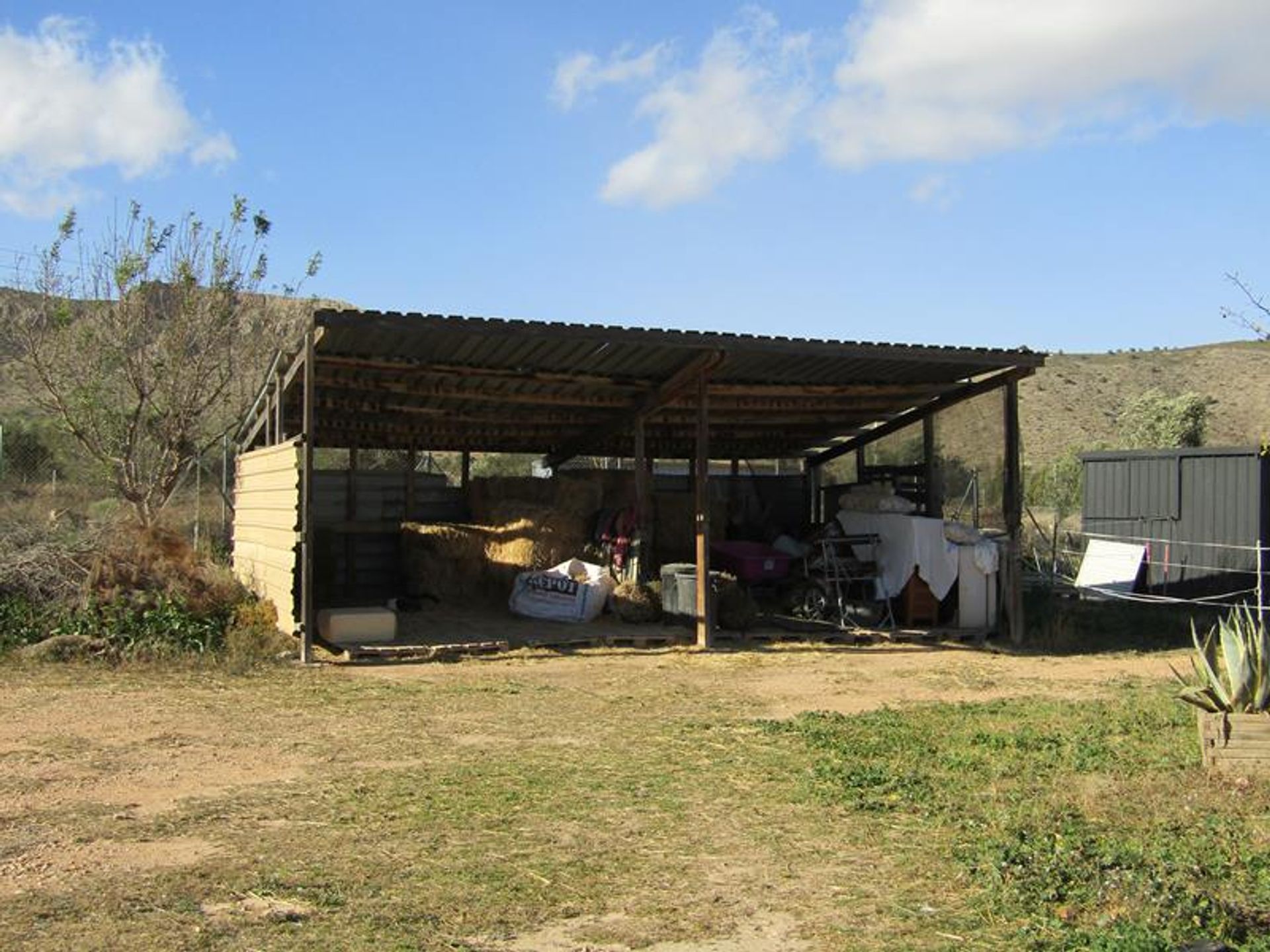 Haus im El Fondó de les Neus, Valencian Community 11390714