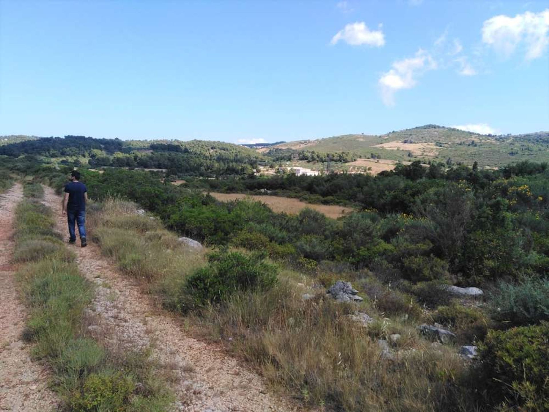 Tanah dalam Zakinthos,  11390933